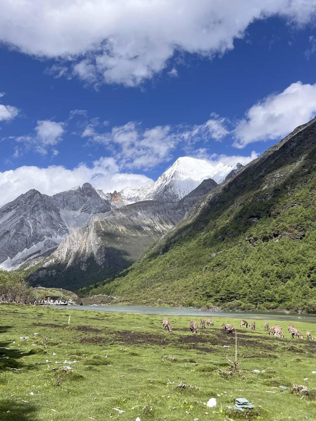🏔️“用6年时间换1张稻城亚丁的门票！”