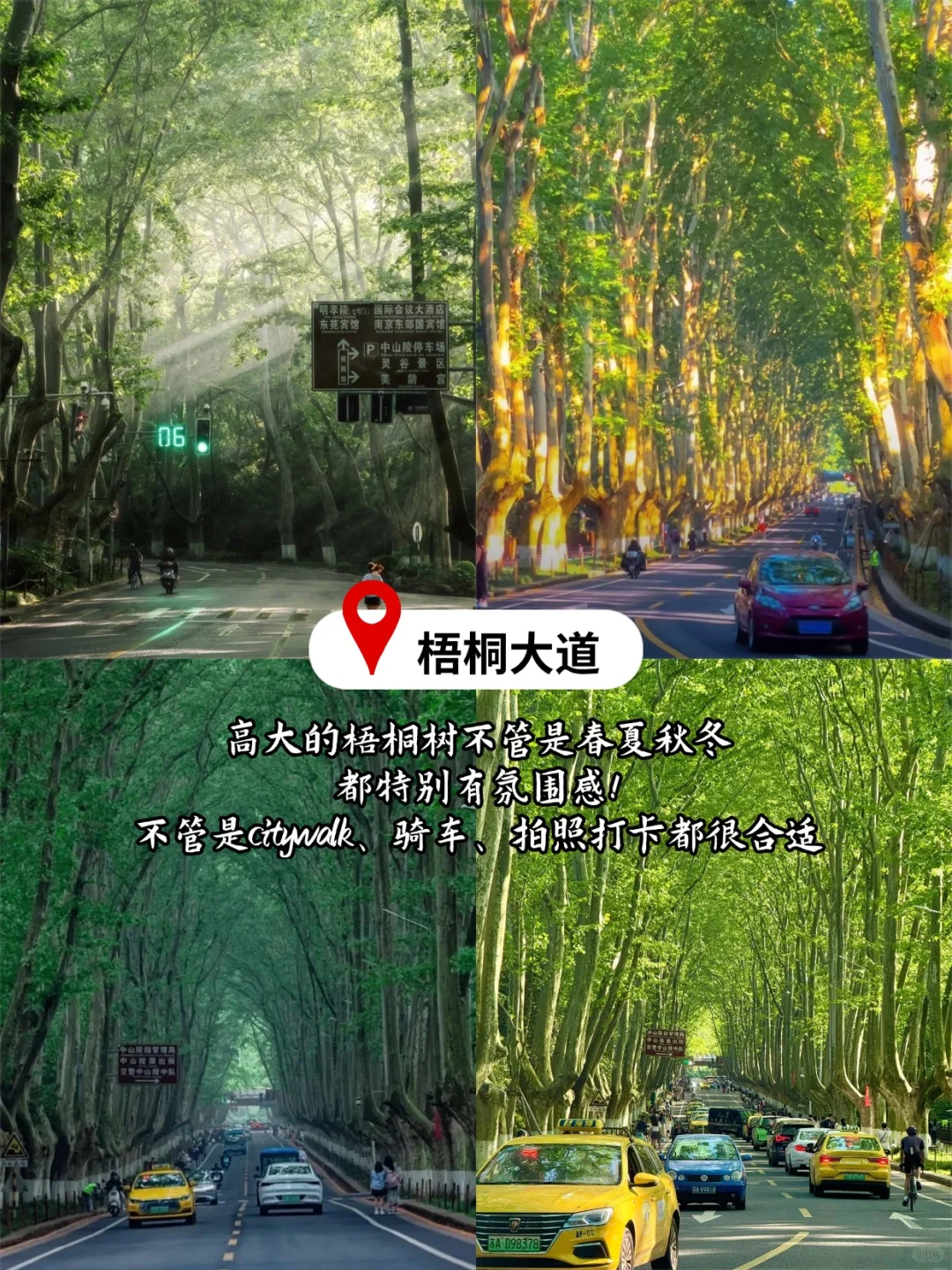 📍南京｜两天一夜「不废腿」行程全指南