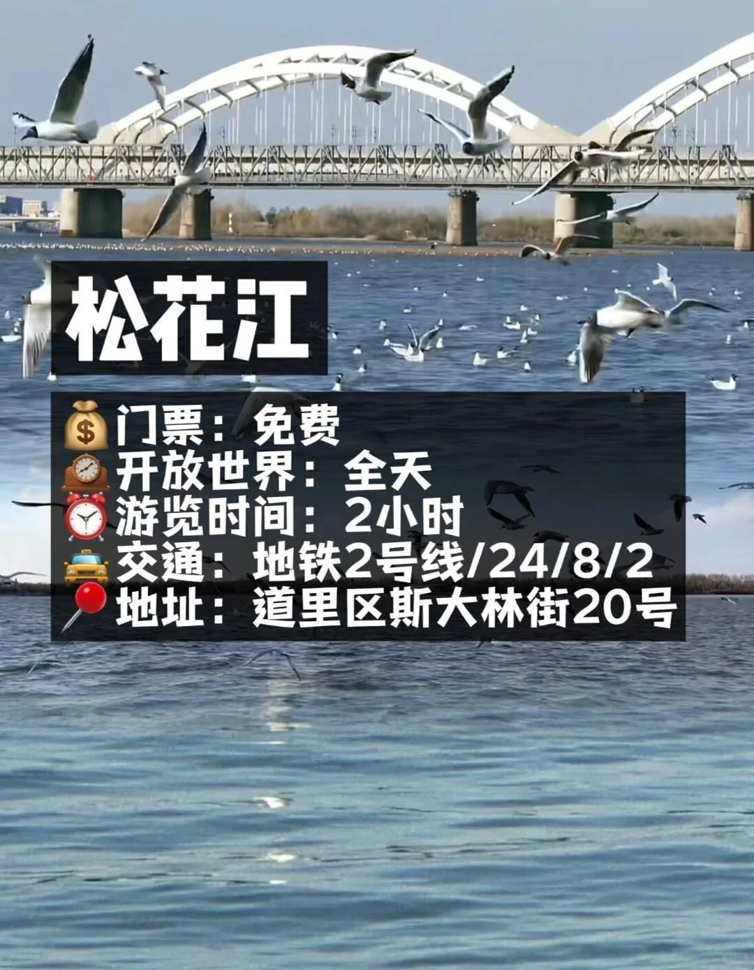 💡来哈尔滨一定要去玩的十大打卡景点⚠️