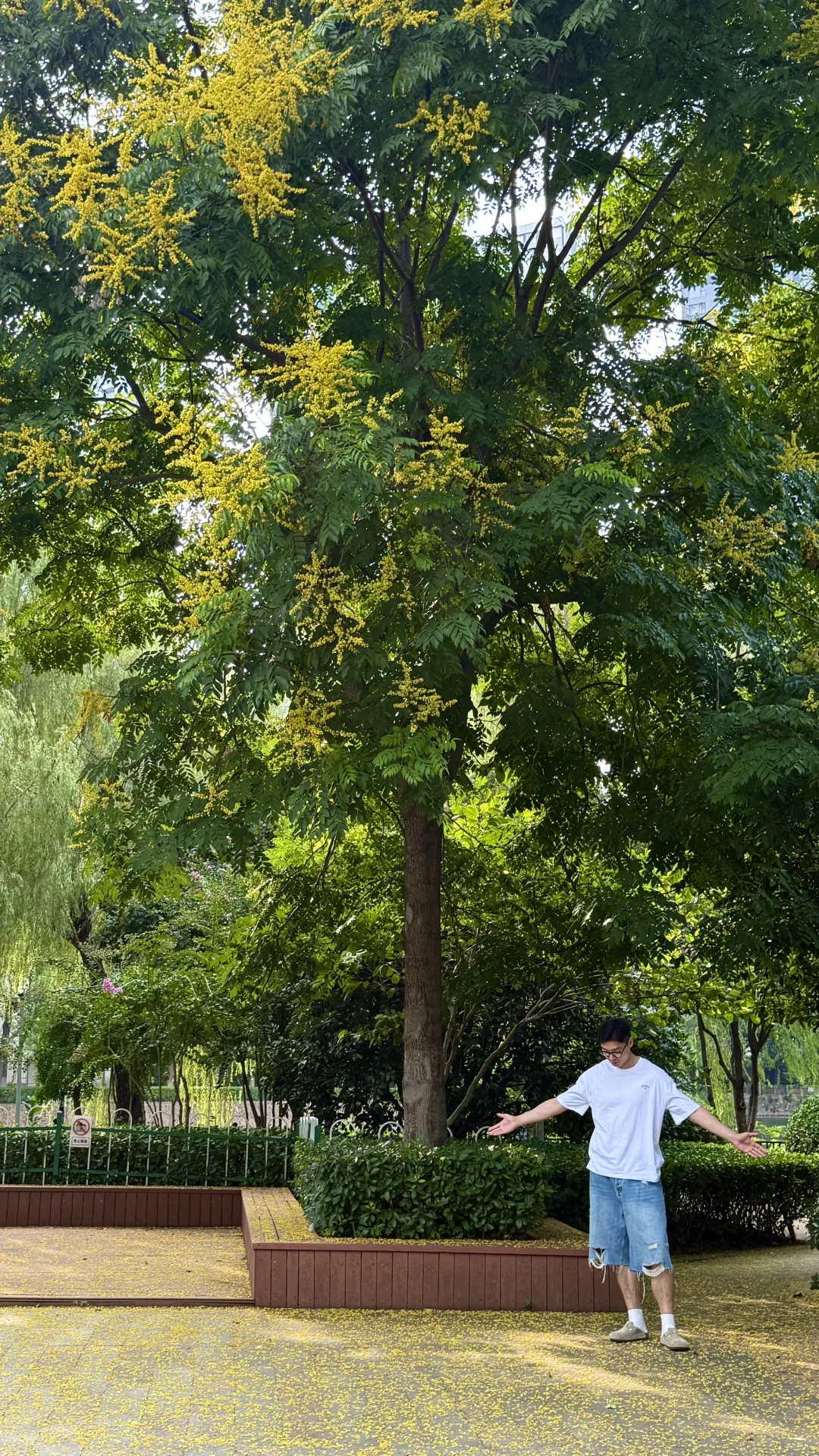 🌟武汉小台北：宝岛公园🌟