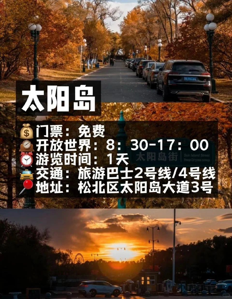 💡来哈尔滨一定要去玩的十大打卡景点⚠️