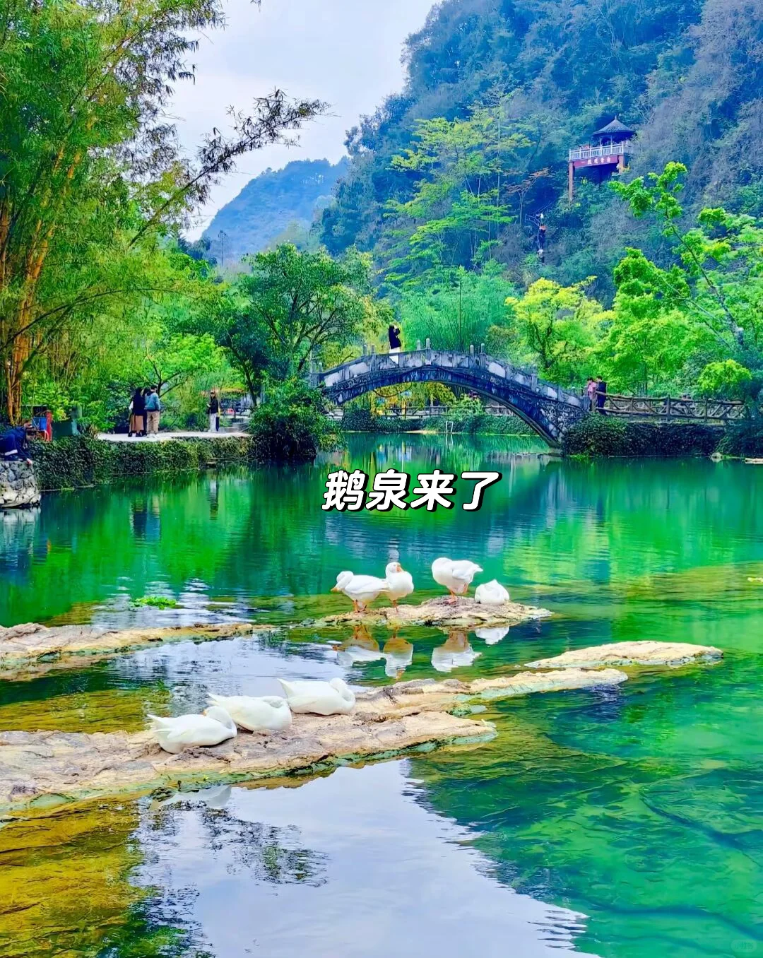 国庆来崇左玩，真的比新西兰还震撼