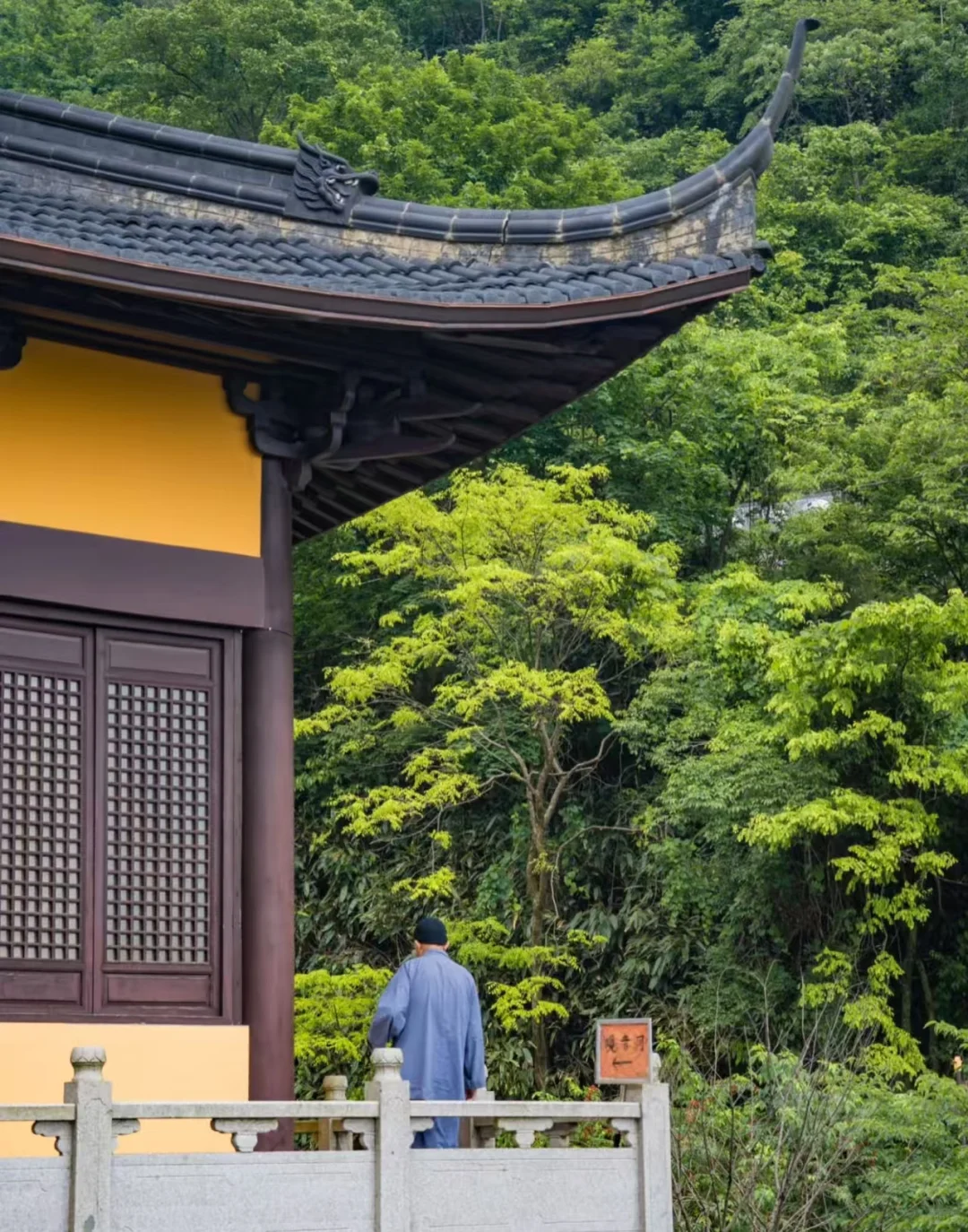 💦【瀑布秋千+空中飞碟】安吉这个景区玩