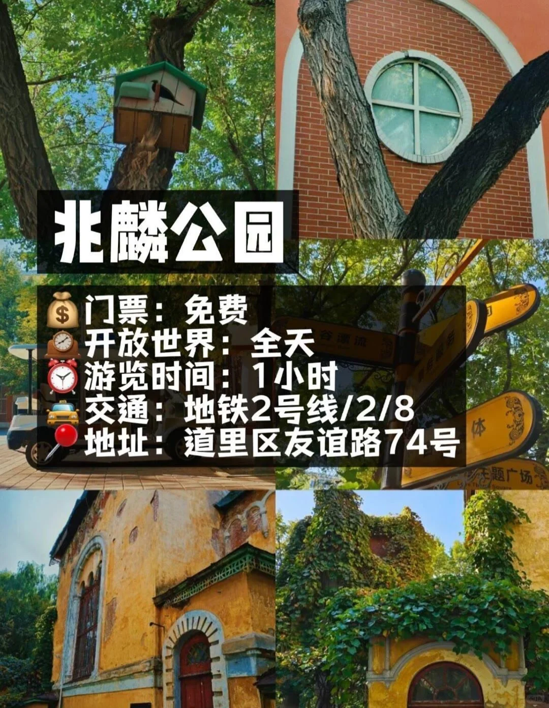 💡来哈尔滨一定要去玩的十大打卡景点⚠️