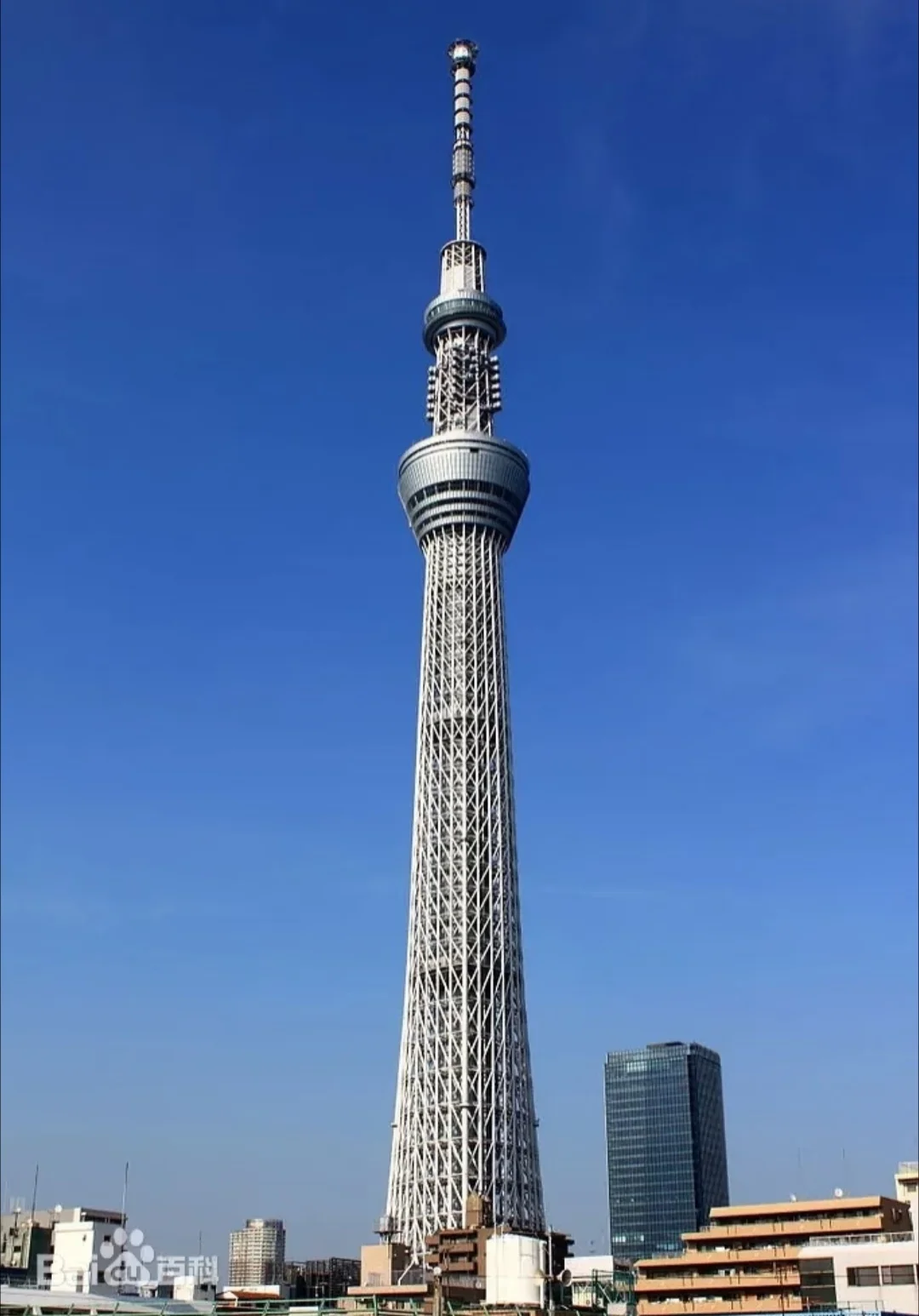日本十大打卡点：必去的绝美景点🌟