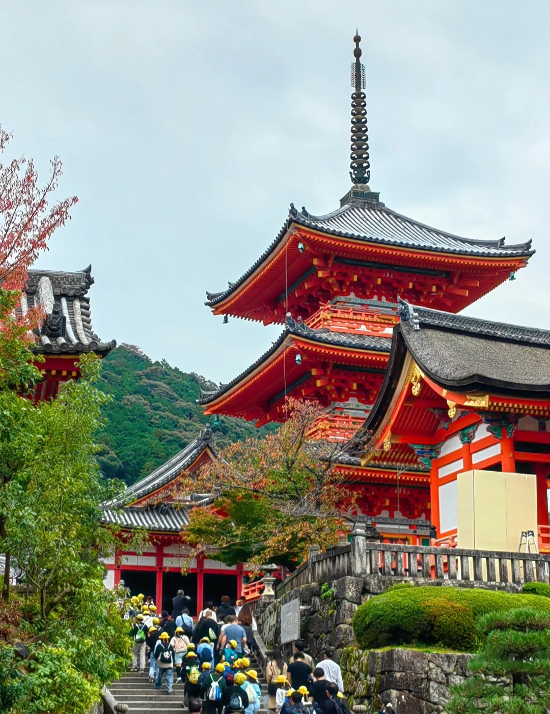 日本十大打卡点：必去的绝美景点🌟