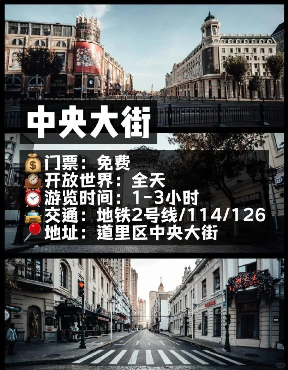 💡来哈尔滨一定要去玩的十大打卡景点⚠️