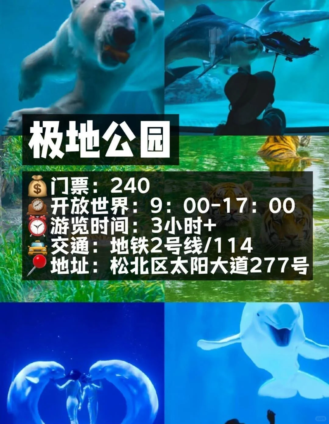 💡来哈尔滨一定要去玩的十大打卡景点⚠️