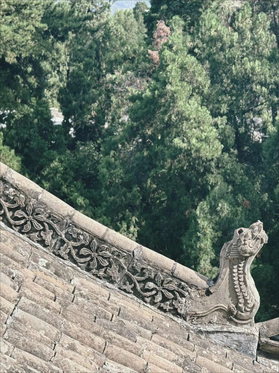 吕梁这座未商业化的古寺📿藏着千年的浪漫