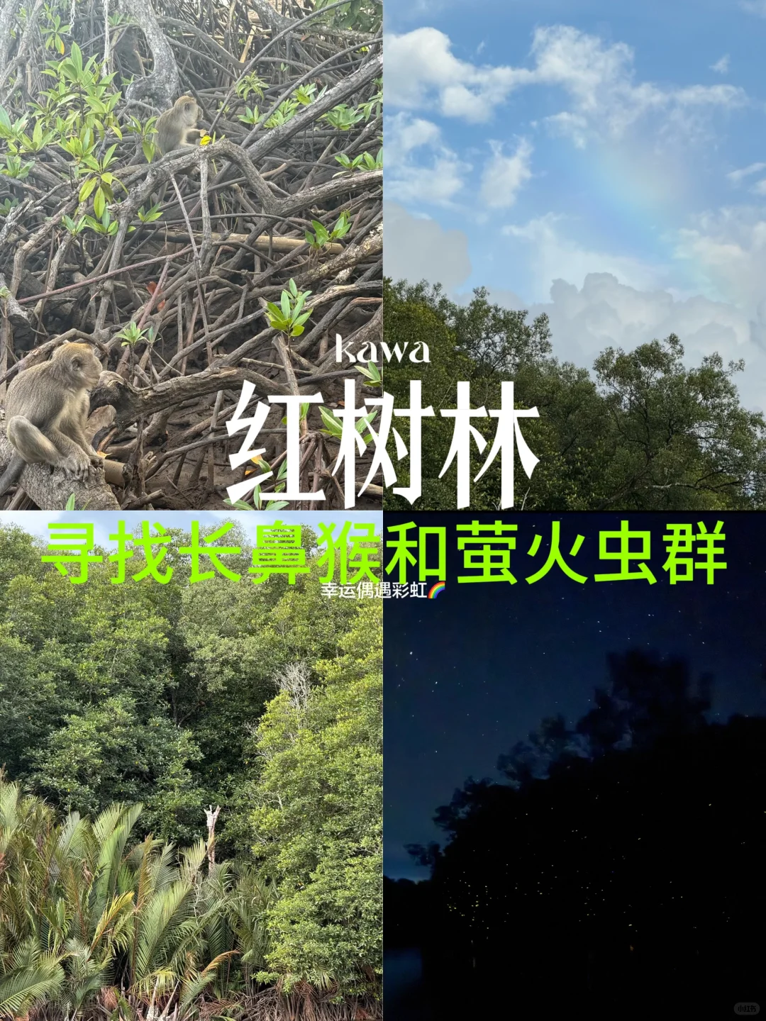 马来西亚，超级chill版攻略！pyq赞爆了！
