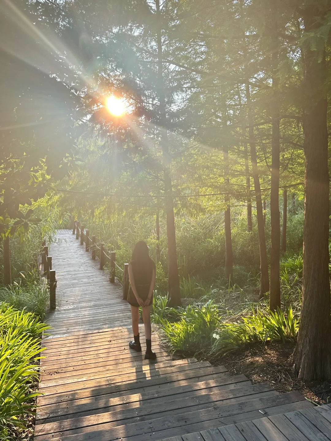 邯郸周边游｜紫山 超梦幻！巨出片
