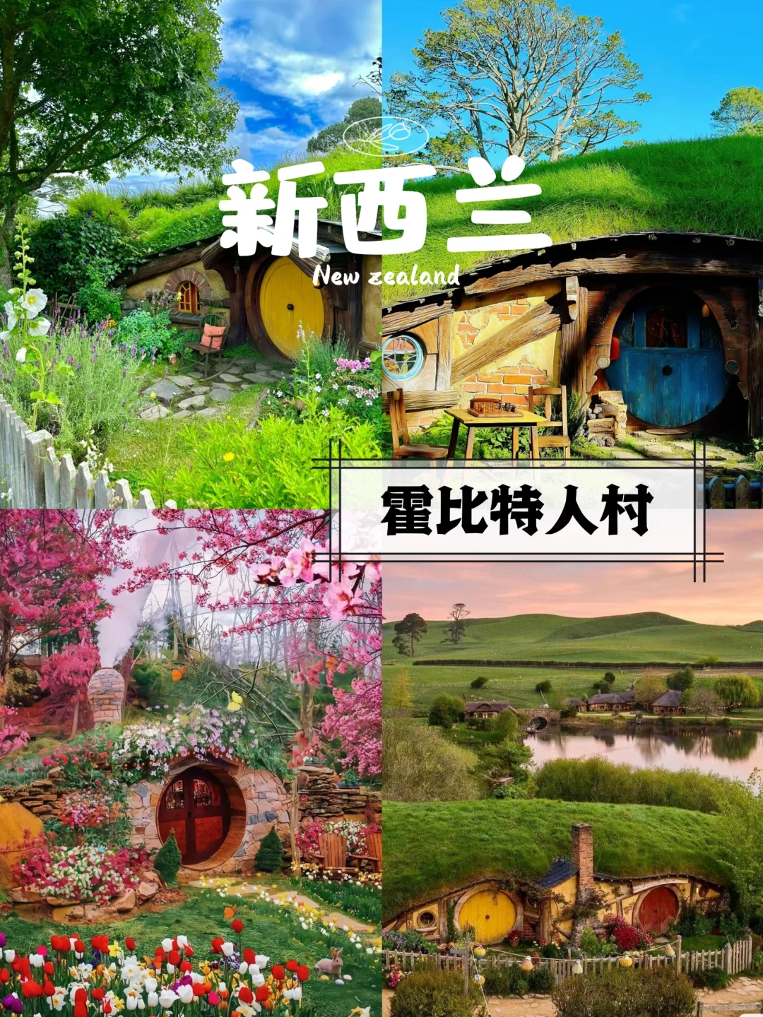 新西兰🇳🇿|霍比特人村看了人回心还在
