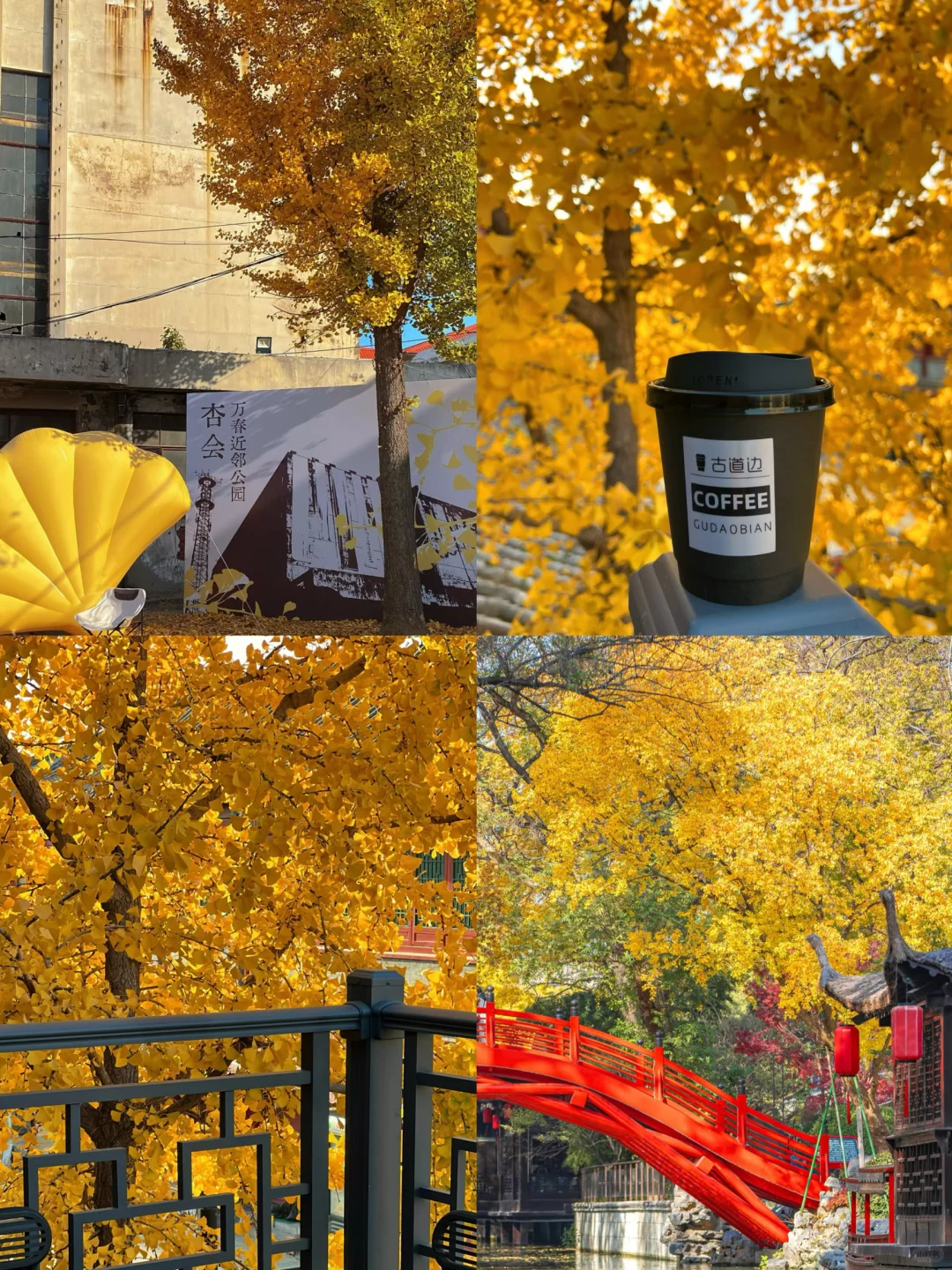 立秋 🍂适合穷游的四个地方推荐！！