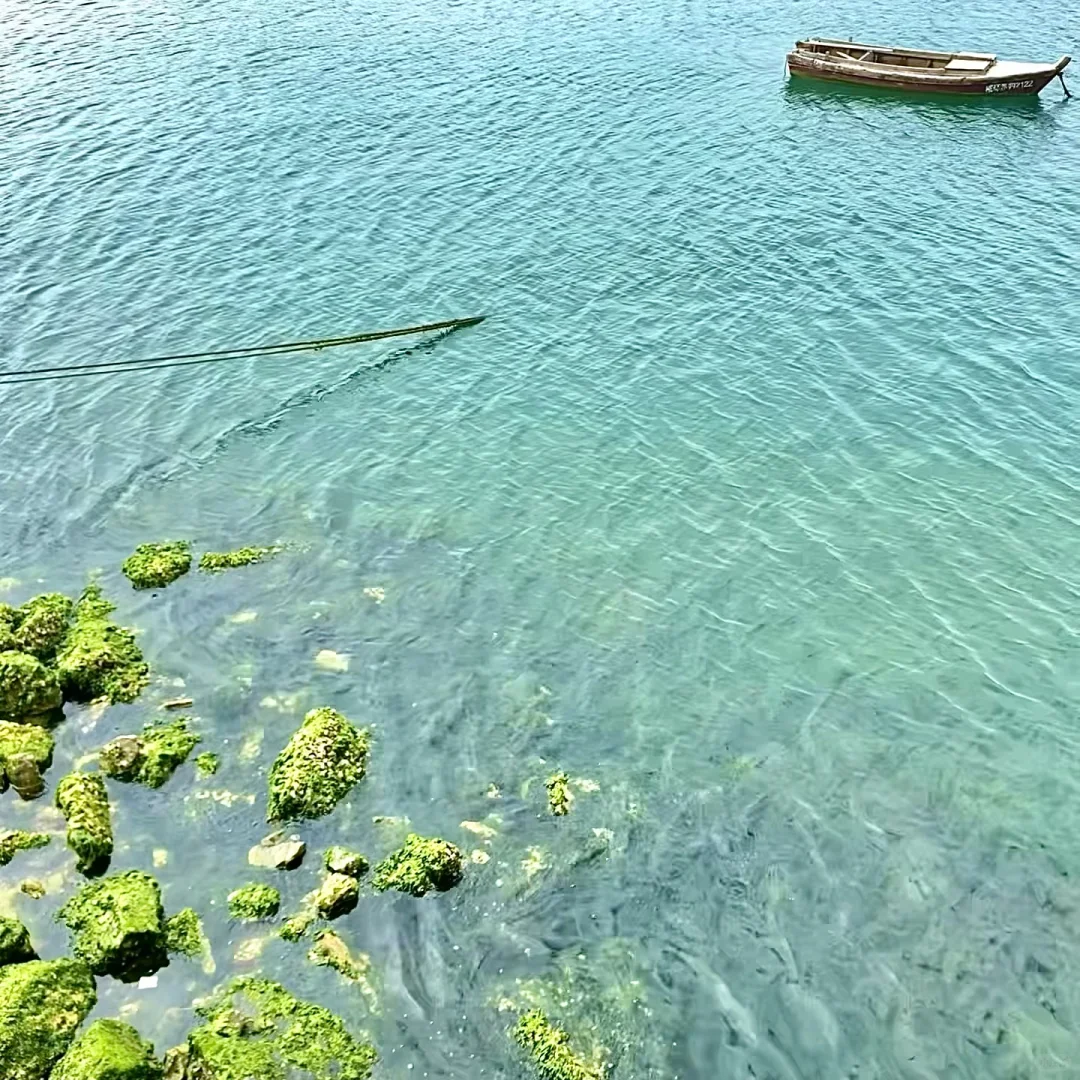 📍威海｜被低估的海边小城🐚🪼🏝️☀️