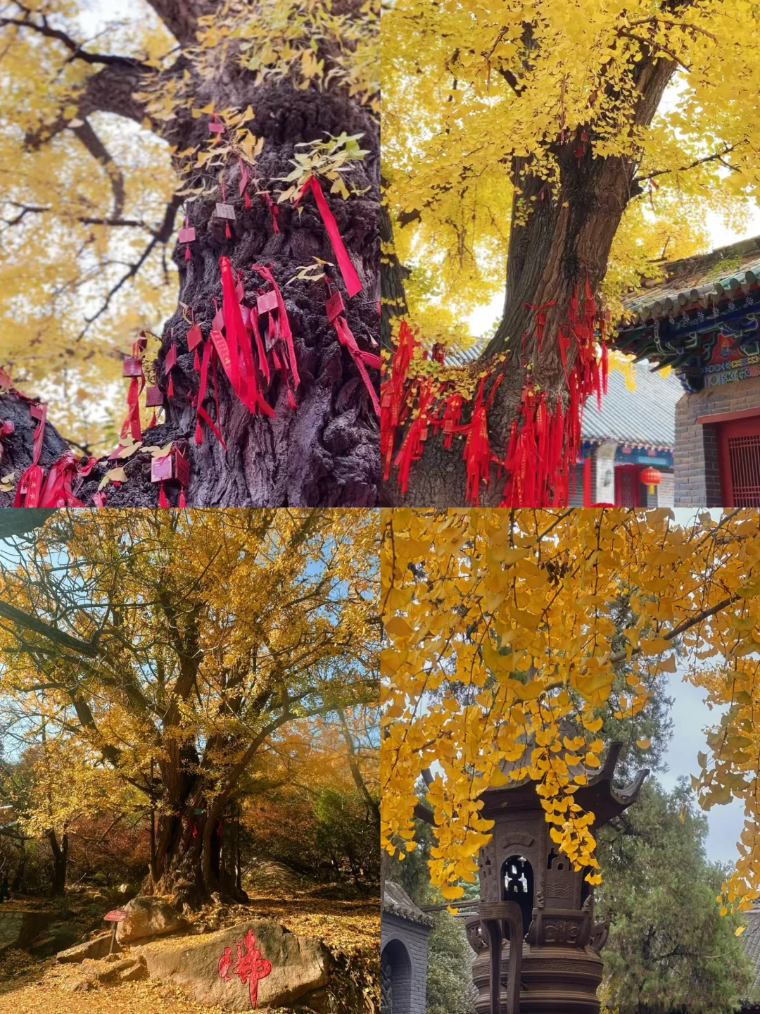 立秋 🍂适合穷游的四个地方推荐！！