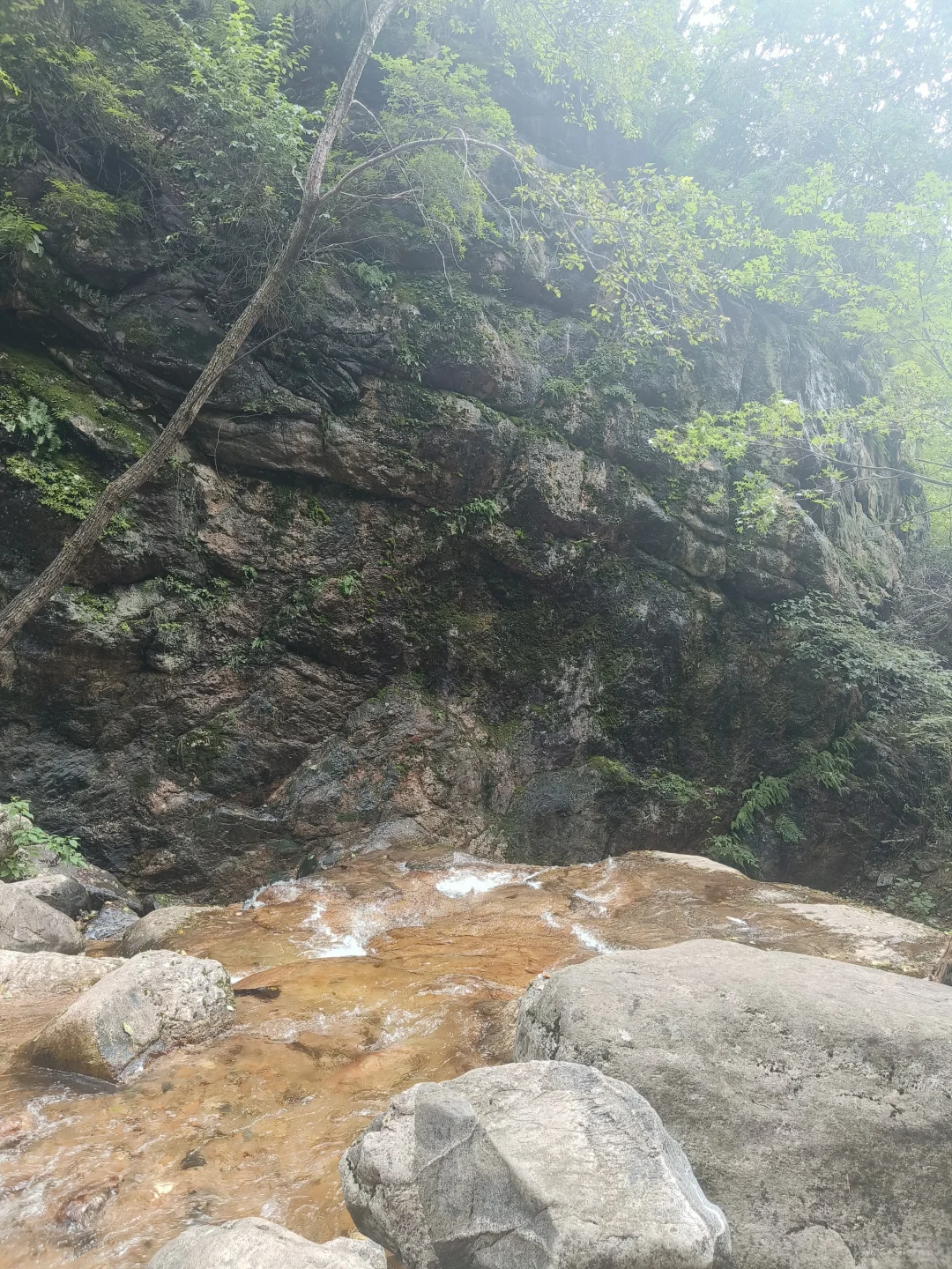 石家庄驼梁
