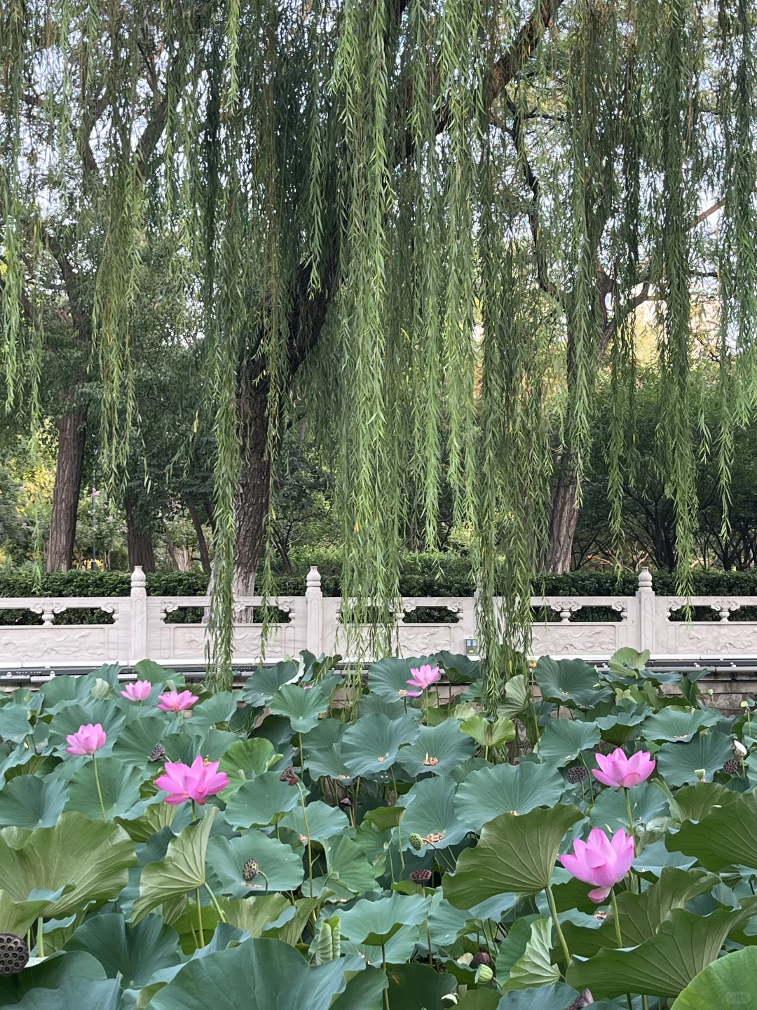 自驾28 天邯郸