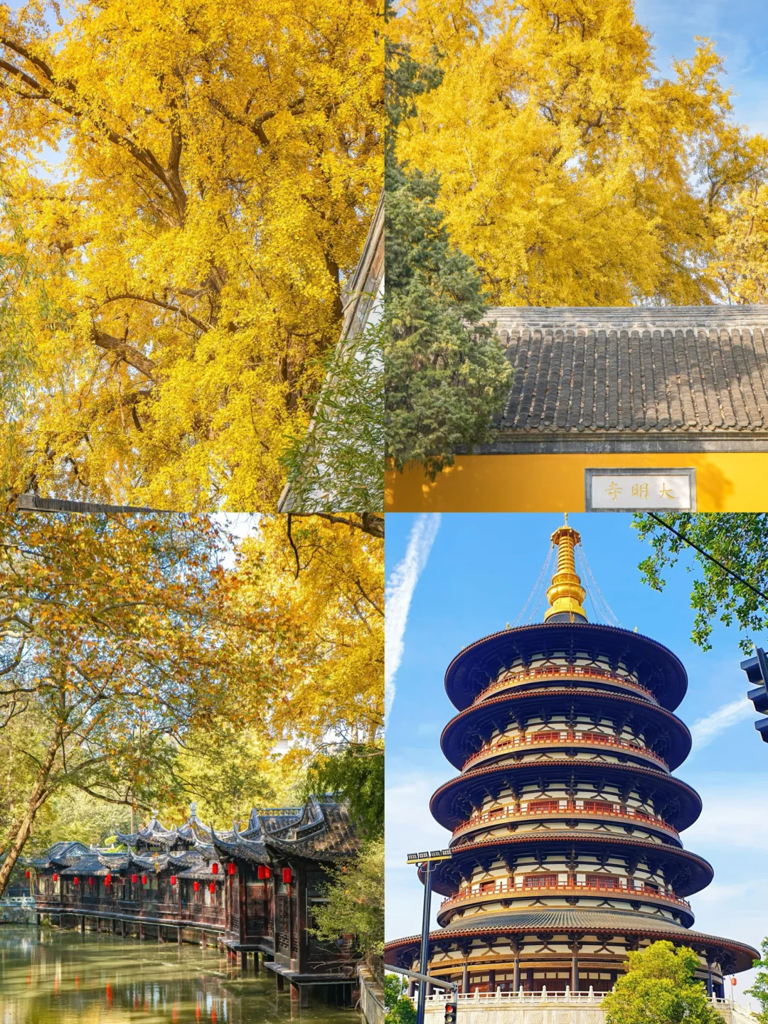 立秋 🍂适合穷游的四个地方推荐！！