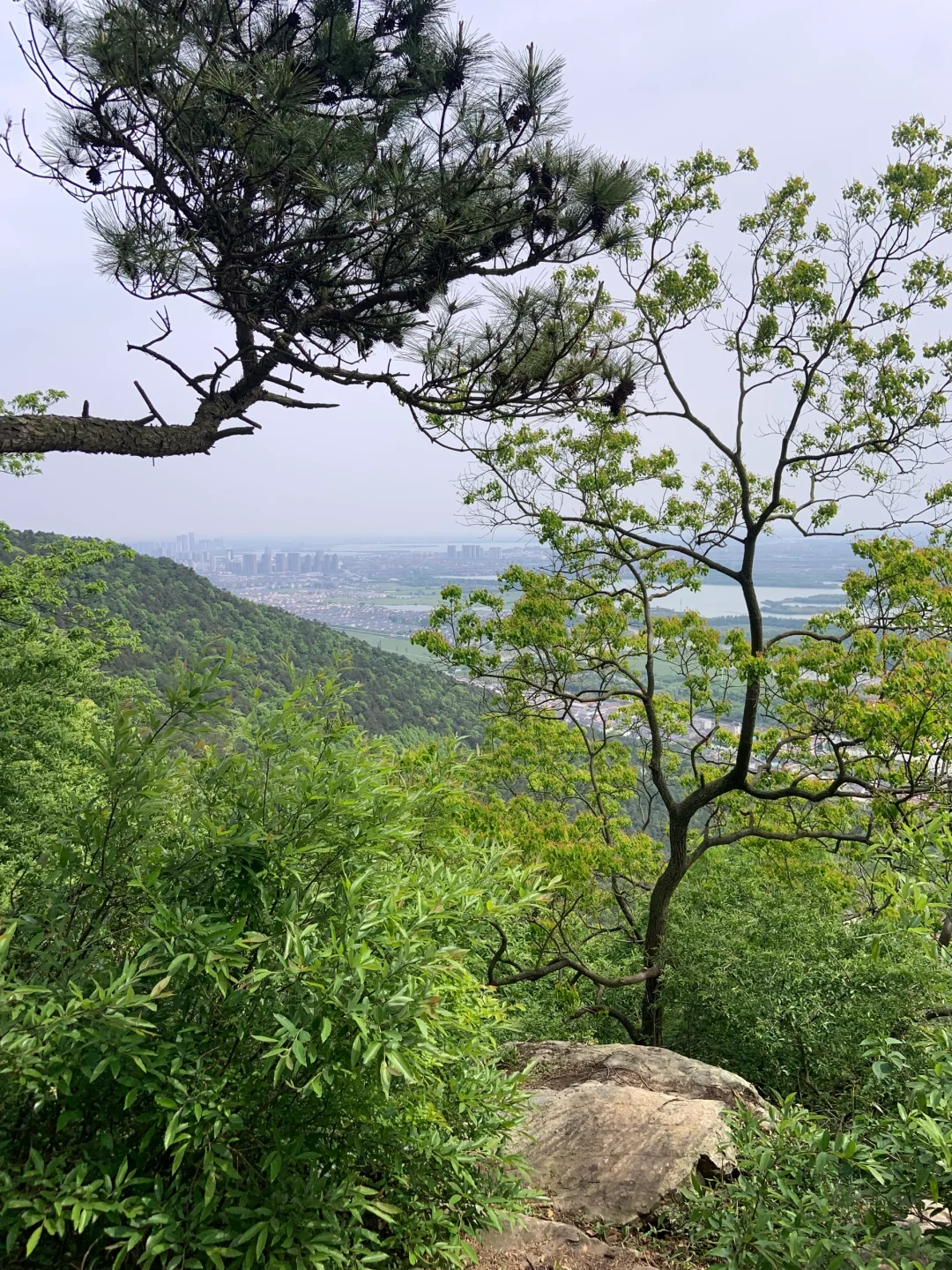 虞山徒步｜失联六小时 在自然里做自己⛰️