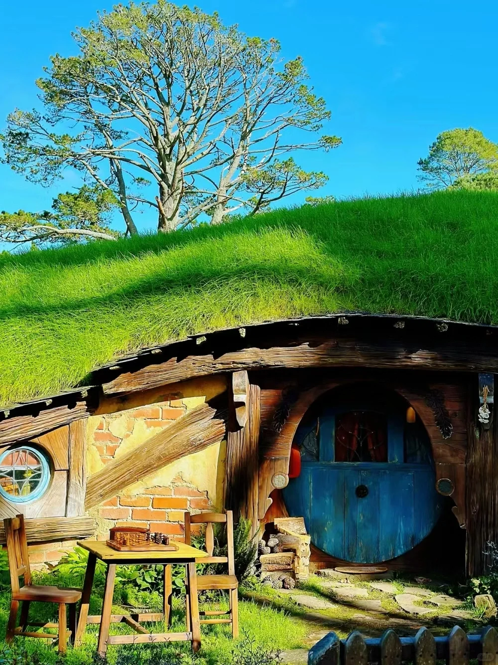 新西兰🇳🇿|霍比特人村看了人回心还在