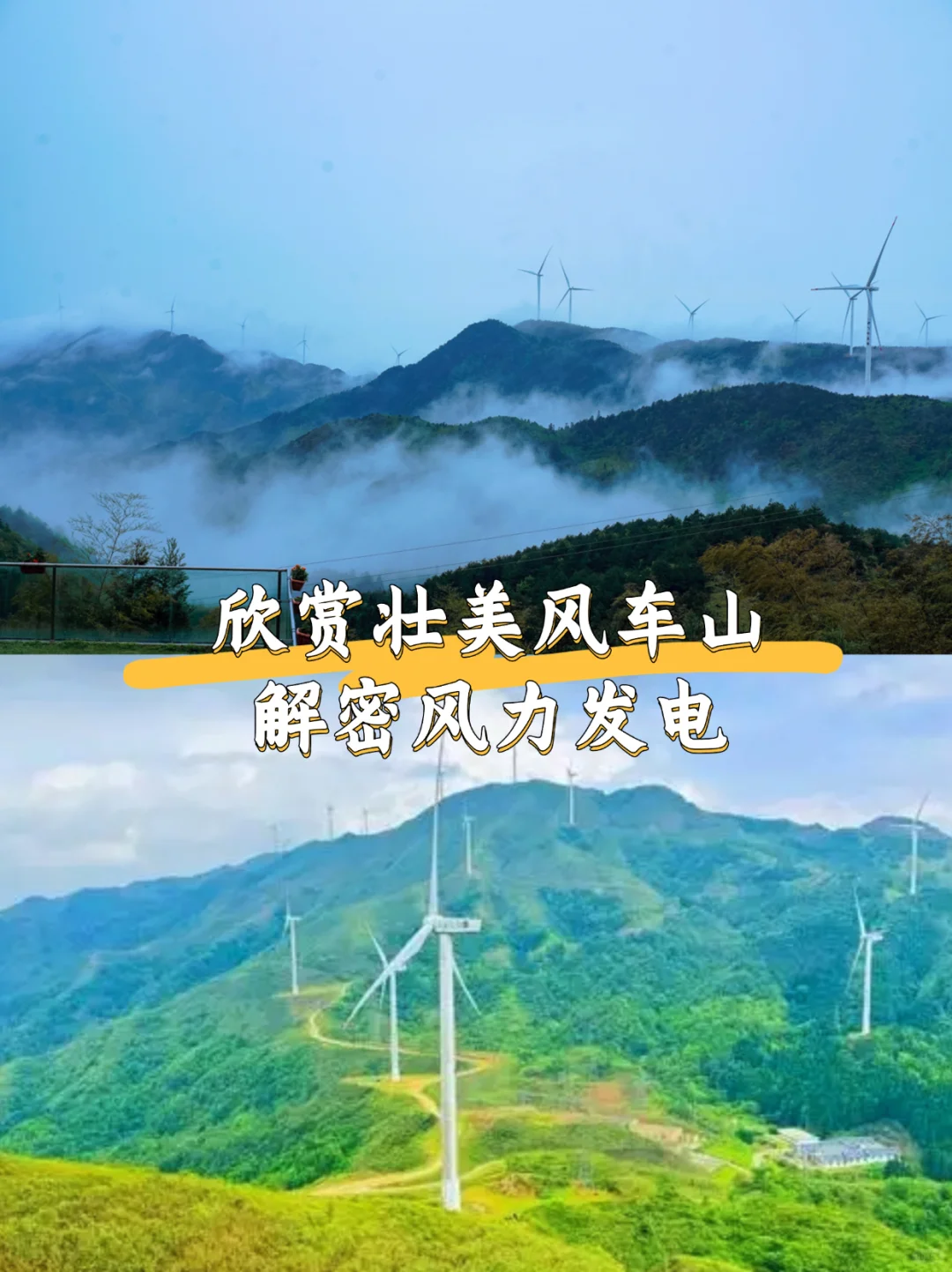 后悔才来！国庆带娃走进现实的童话世界🍄