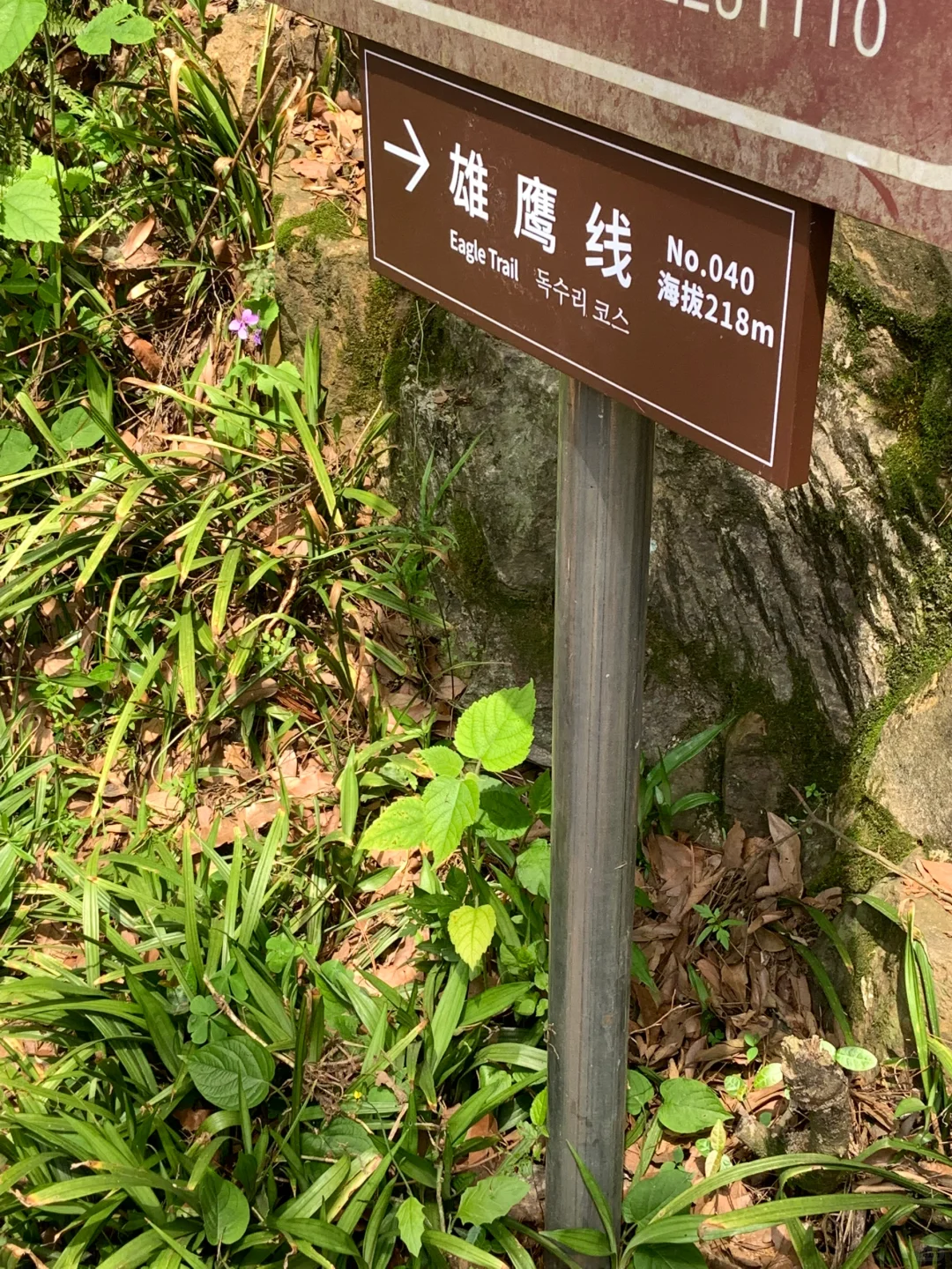 虞山徒步｜失联六小时 在自然里做自己⛰️