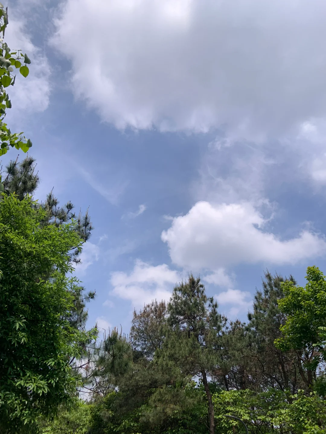 虞山徒步｜失联六小时 在自然里做自己⛰️