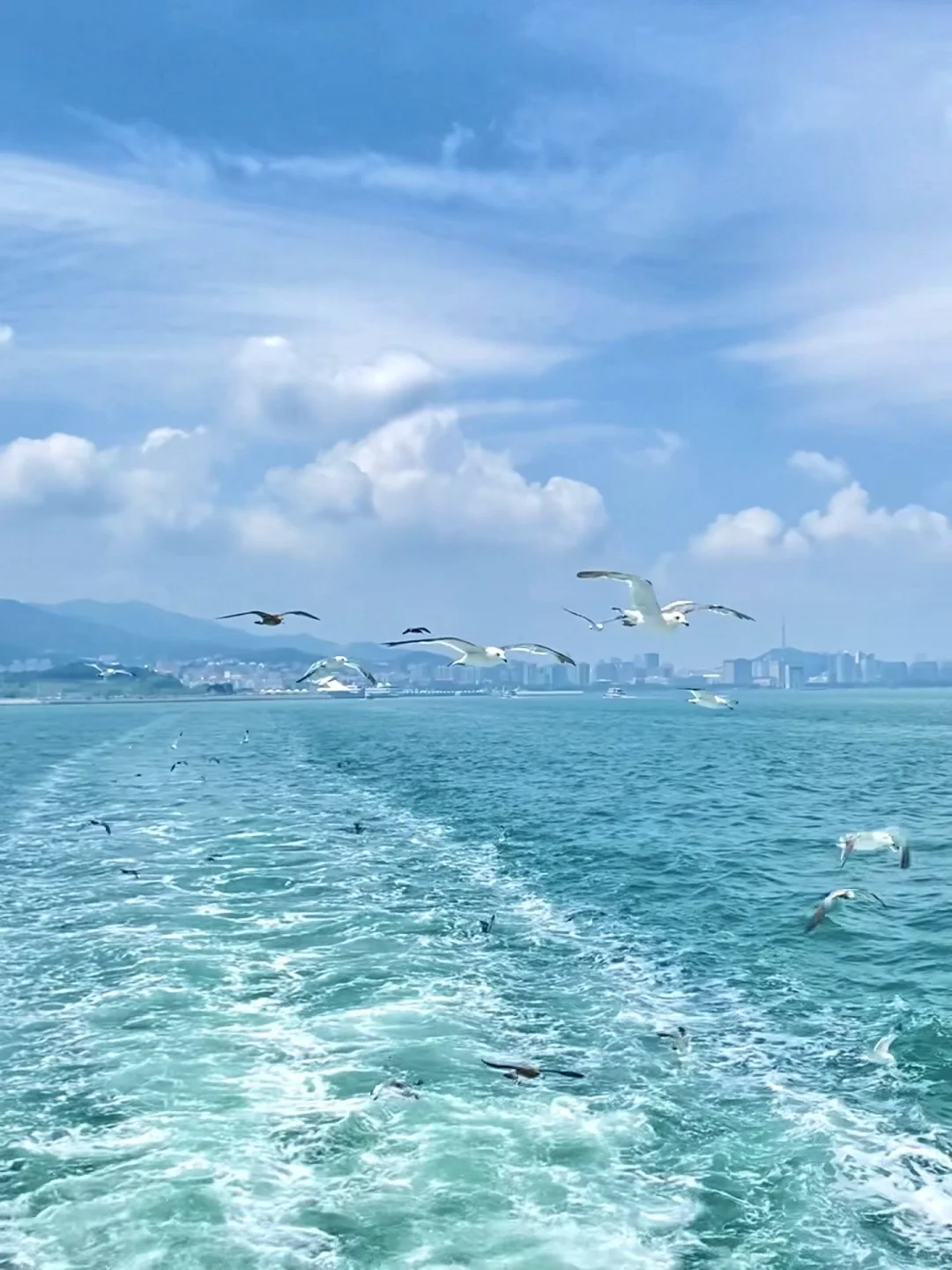 📍威海｜被低估的海边小城🐚🪼🏝️☀️