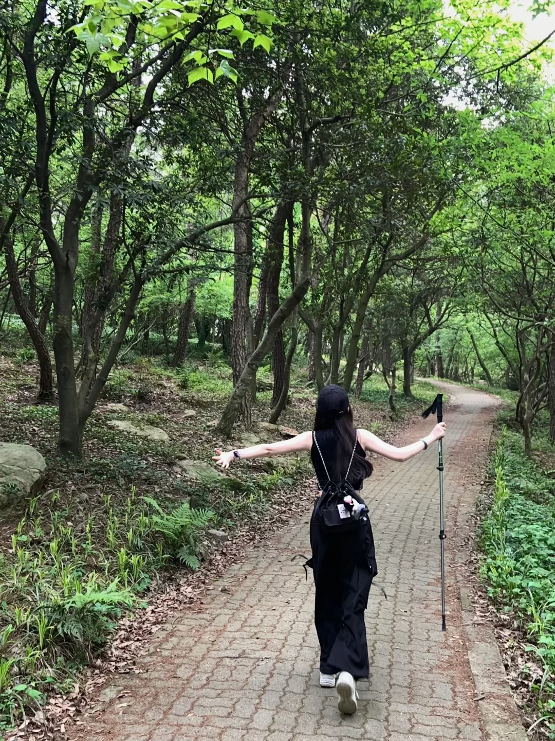 虞山徒步｜失联六小时 在自然里做自己⛰️