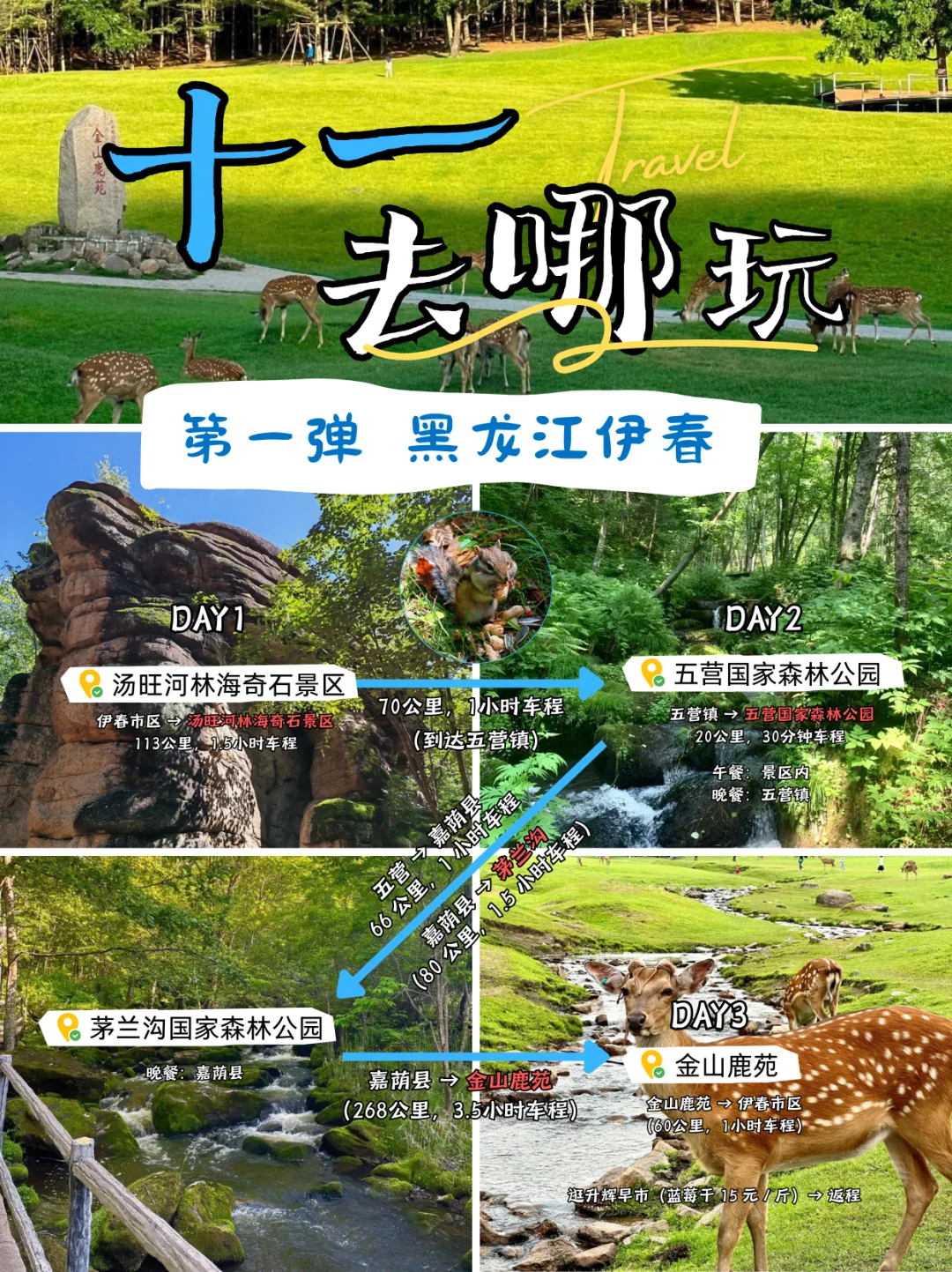 国庆伊春保姆级攻略✅