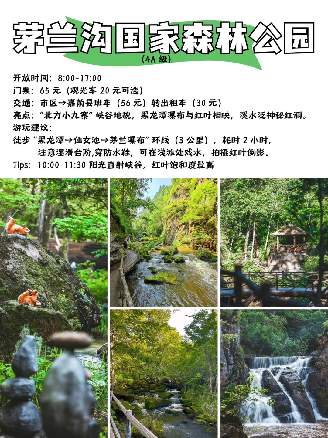 国庆伊春保姆级攻略✅