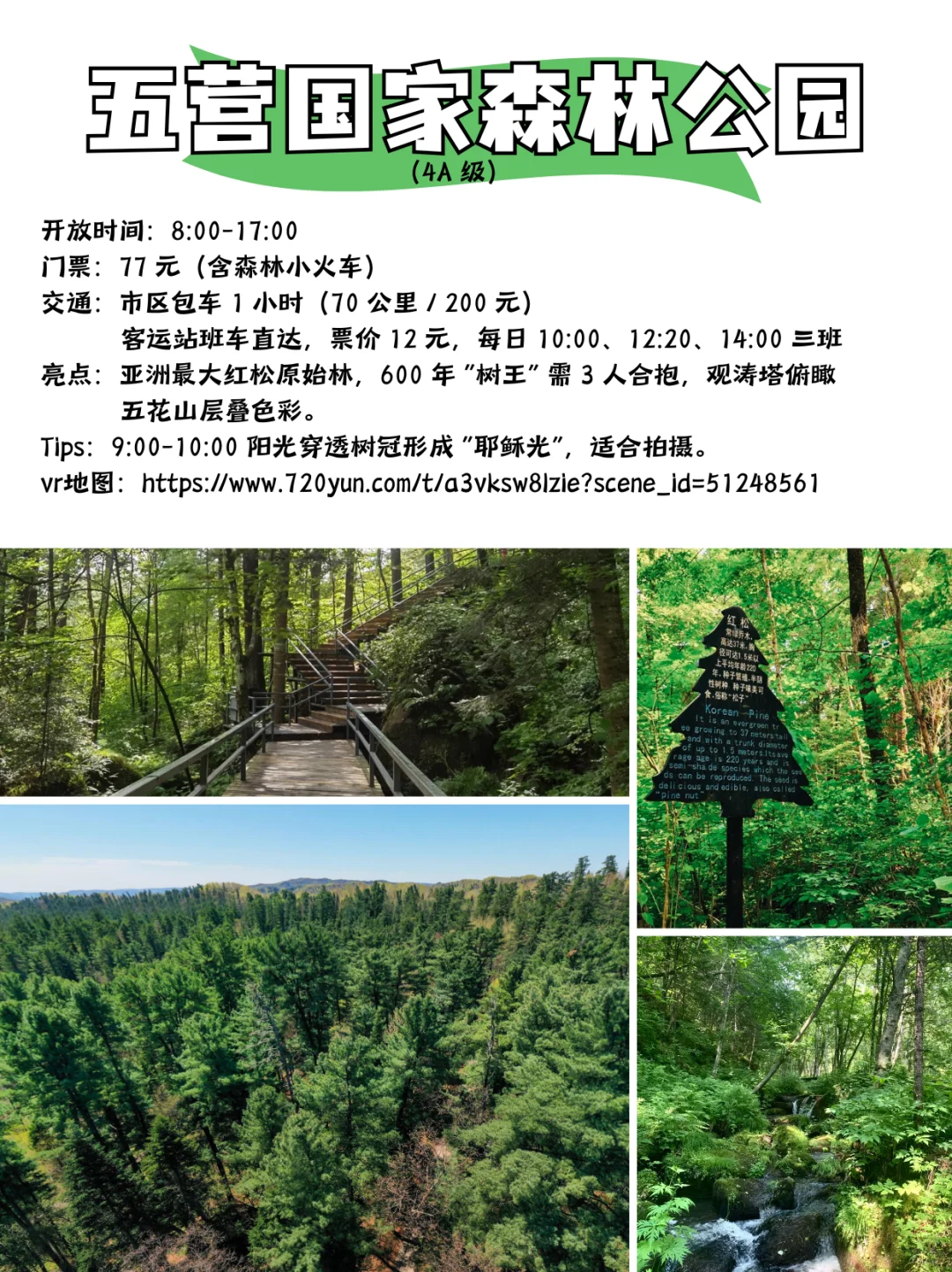 国庆伊春保姆级攻略✅