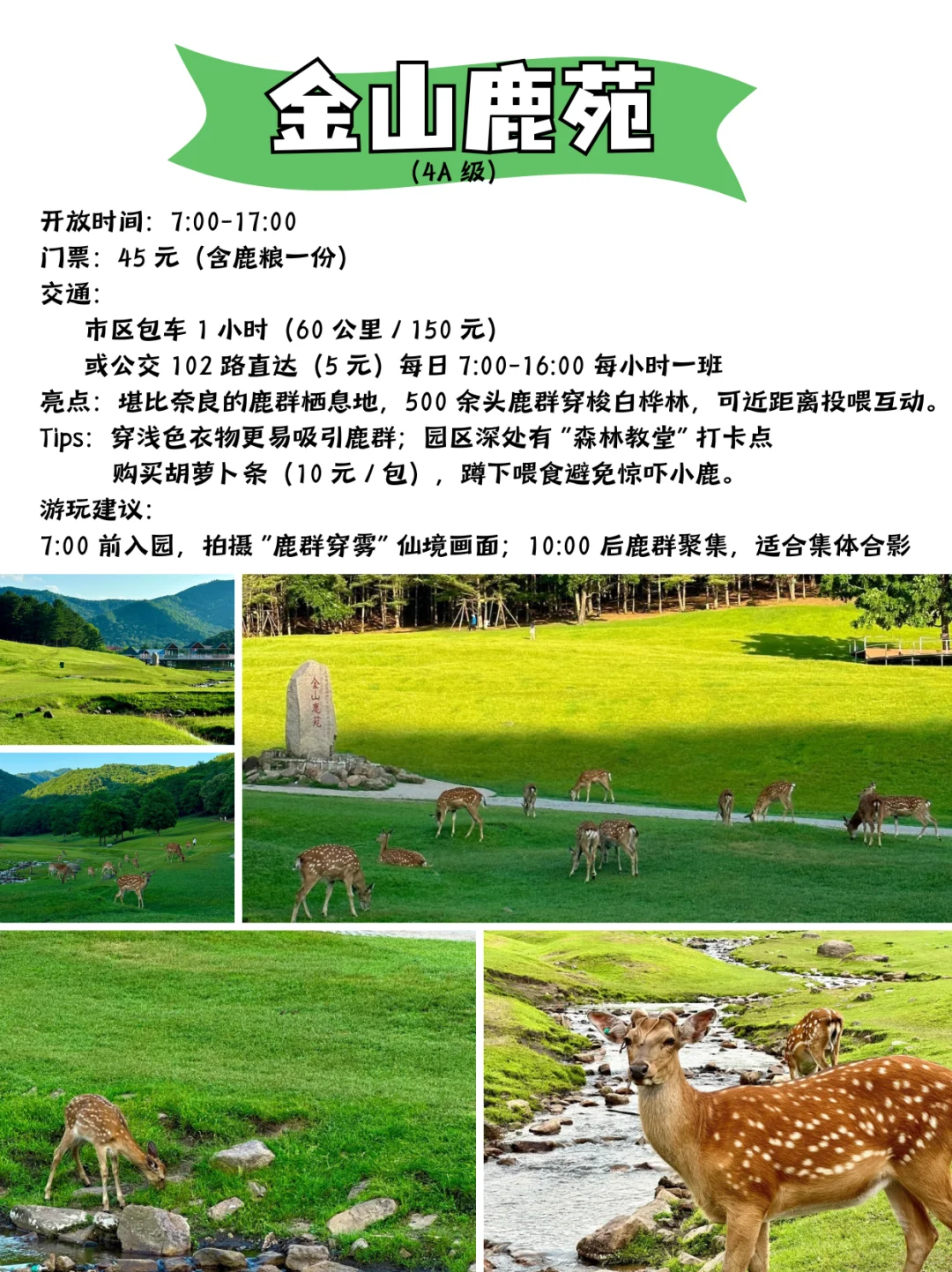 国庆伊春保姆级攻略✅
