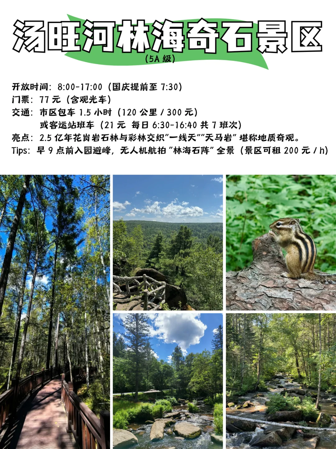 国庆伊春保姆级攻略✅
