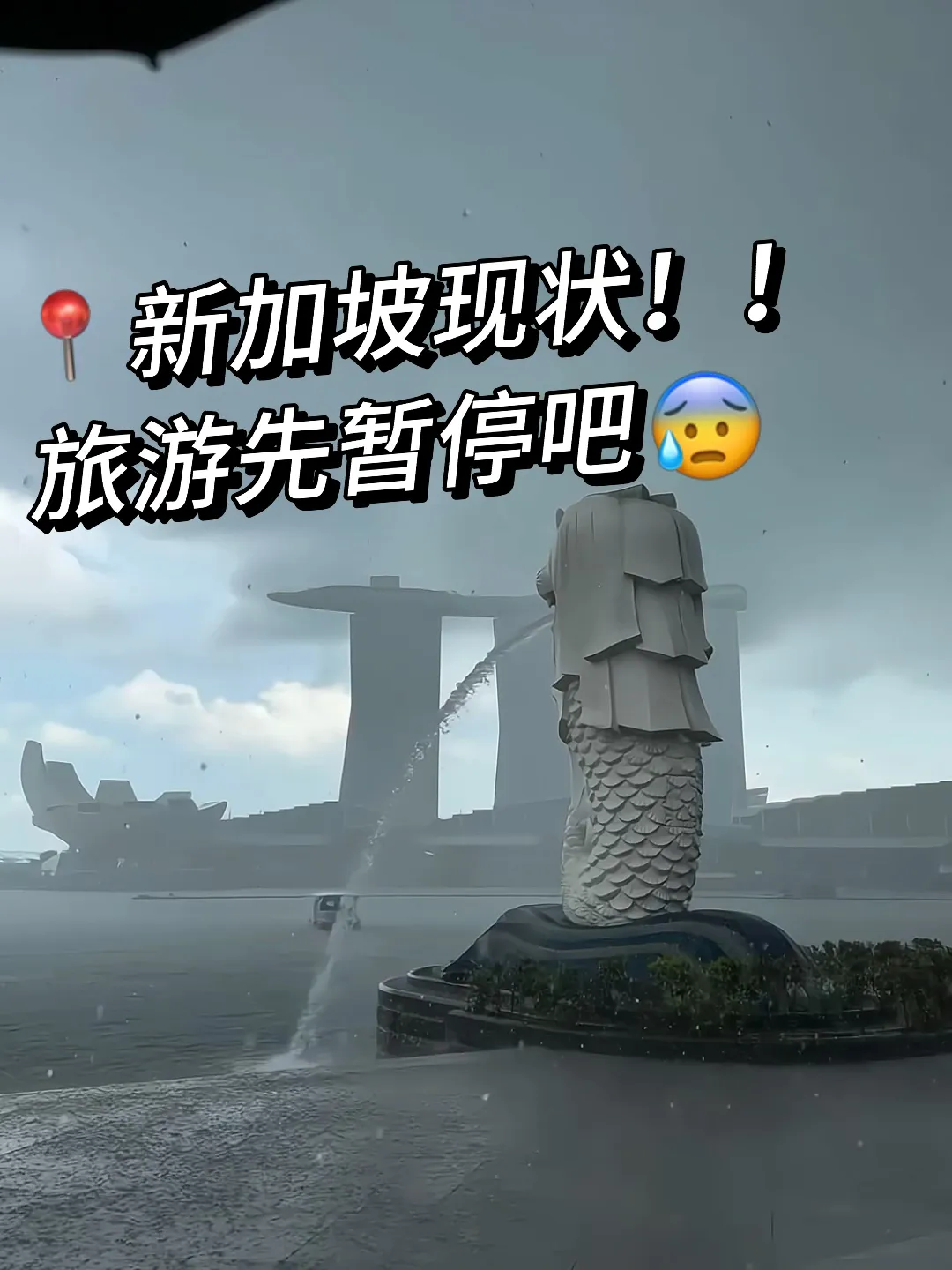 8.25📍新加坡遭罪已回。。说点实话劝劝大家😰