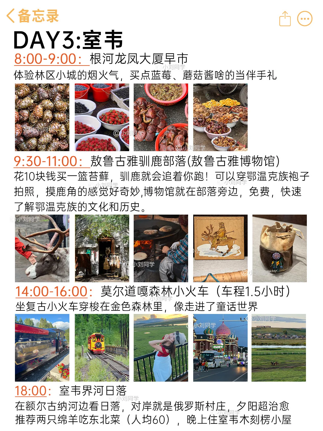 INTJ的👉阿尔山+大兴安岭+呼伦贝尔旅行攻略
