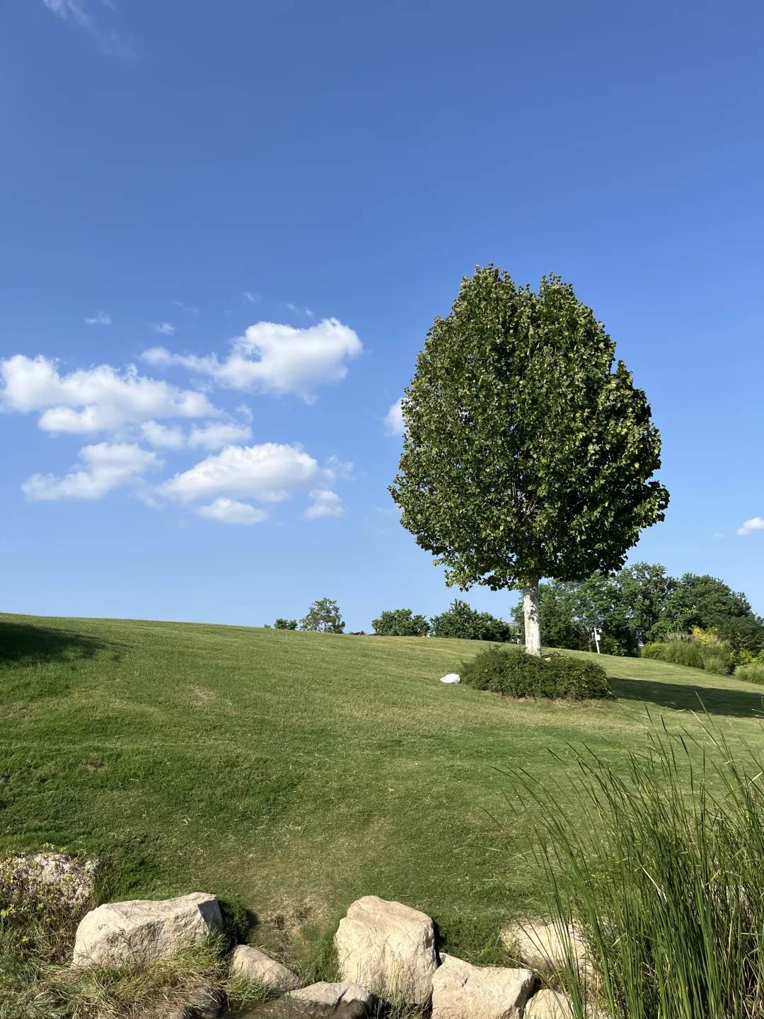 洛阳周末好去处 放空自己～🍃