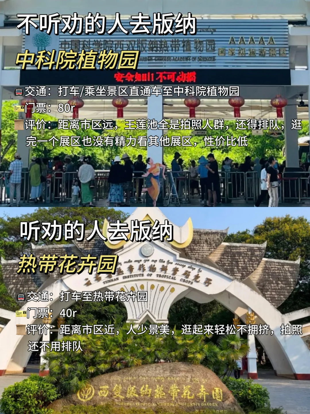 旅游旺季去版纳‼️热门景点不听劝vs听劝