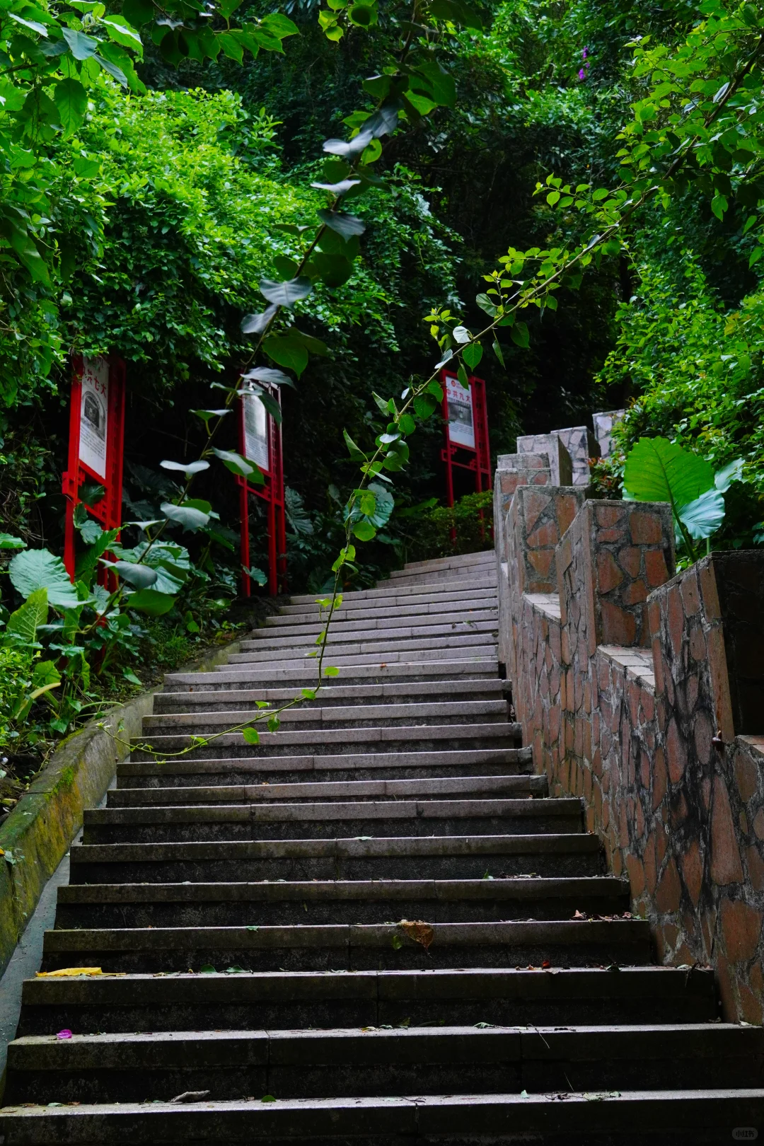 游阳江海陵岛牛塘山
