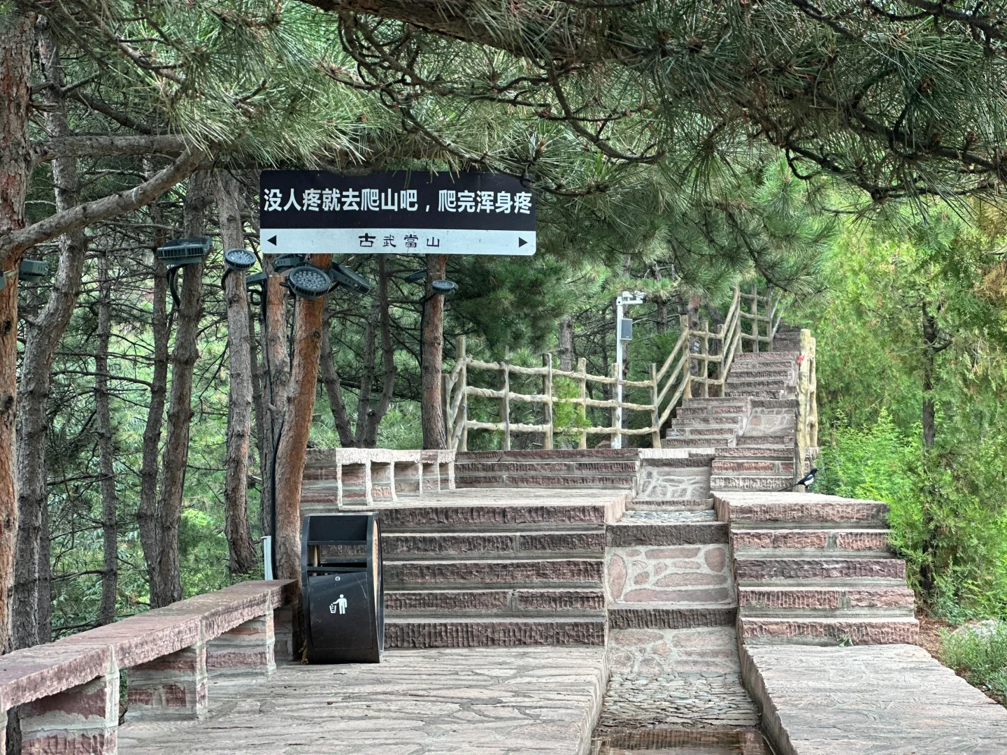 腿先别抖 上面更陡🦿🦿⛰️