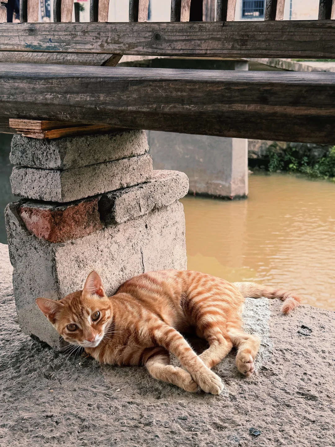 这里是 呈坎