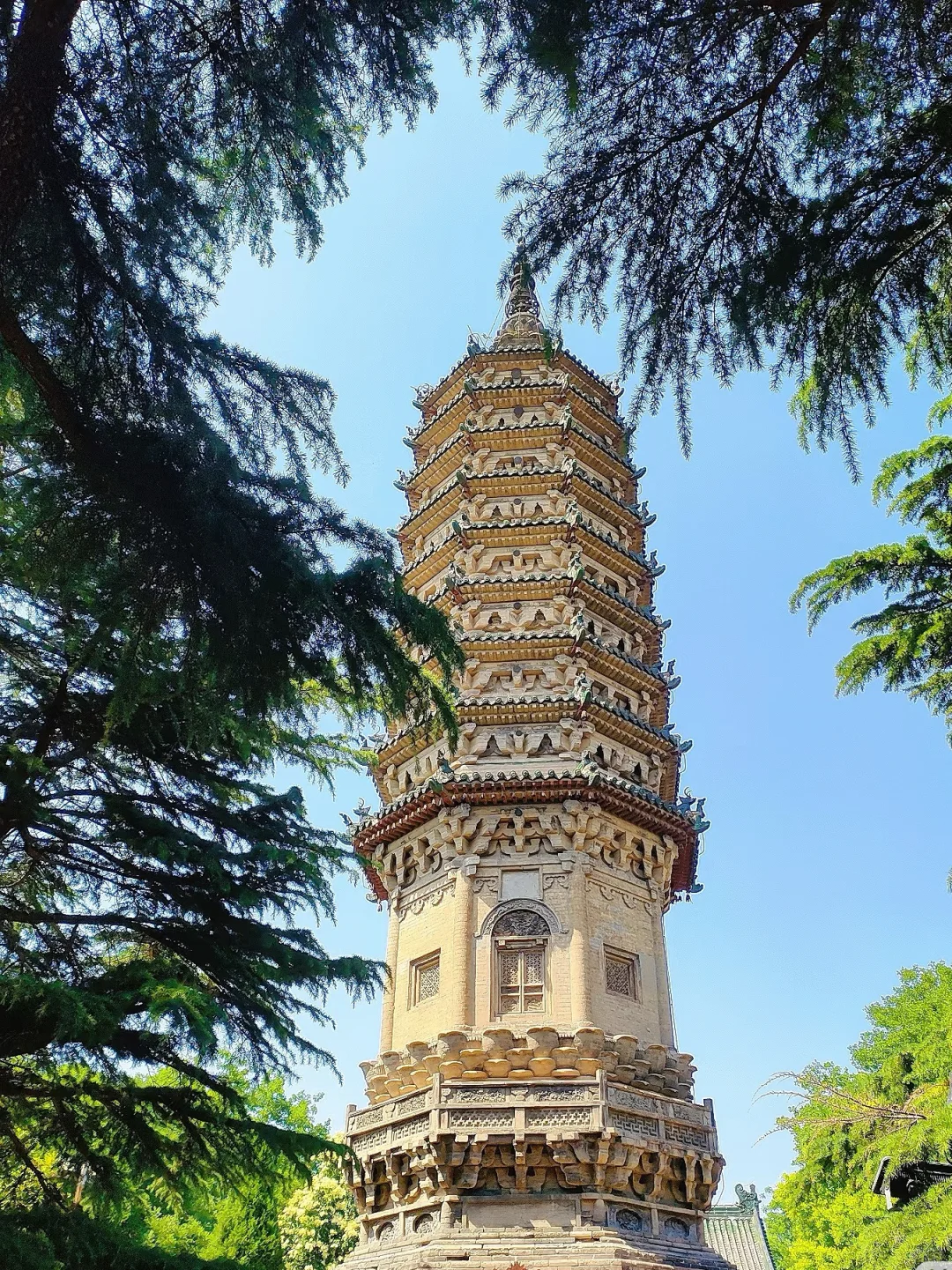 石家庄～这些地方太适合秋天！带娃放风～