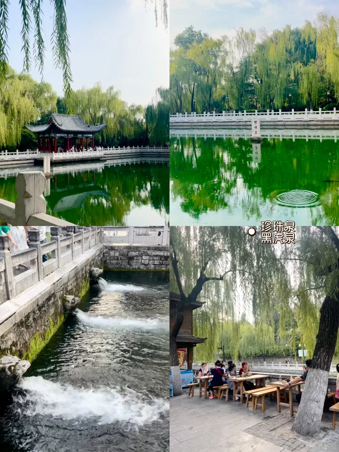韶关出发7天闯山东！青威济风光全拿捏🌊