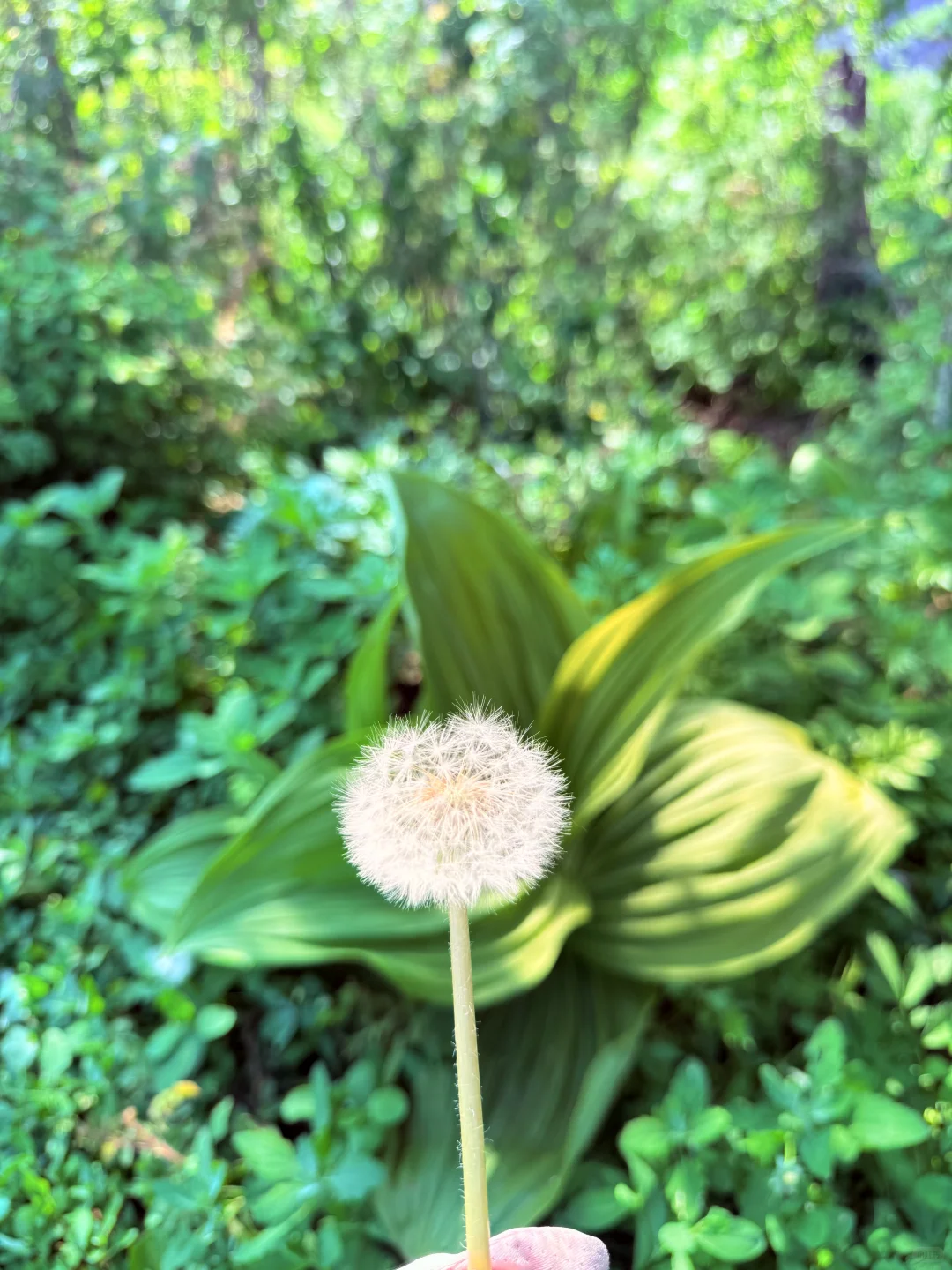 这么近，那么美，周末来河北🙋‍♀️