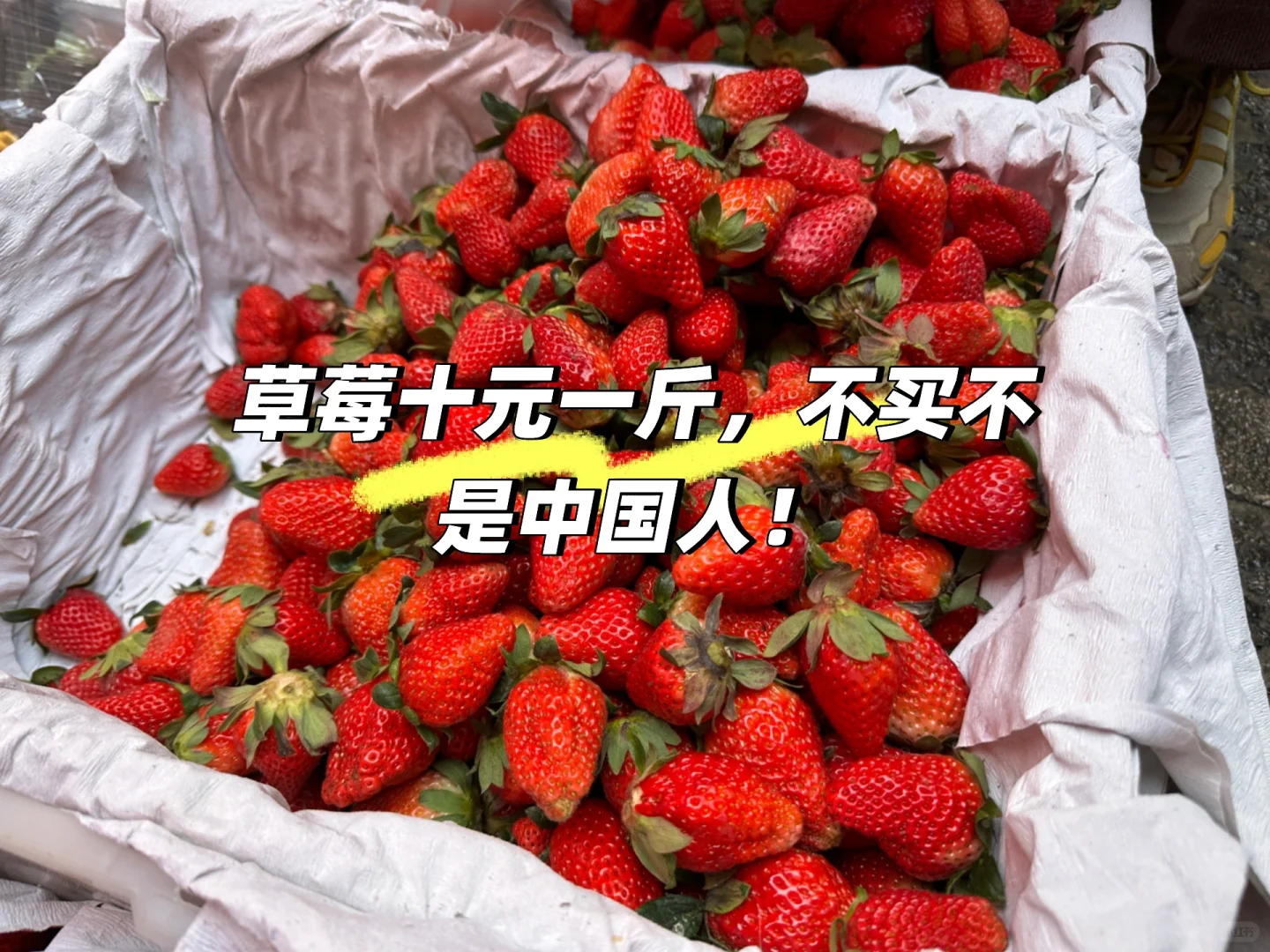 腾冲会惩罚每一个不做攻略的人！