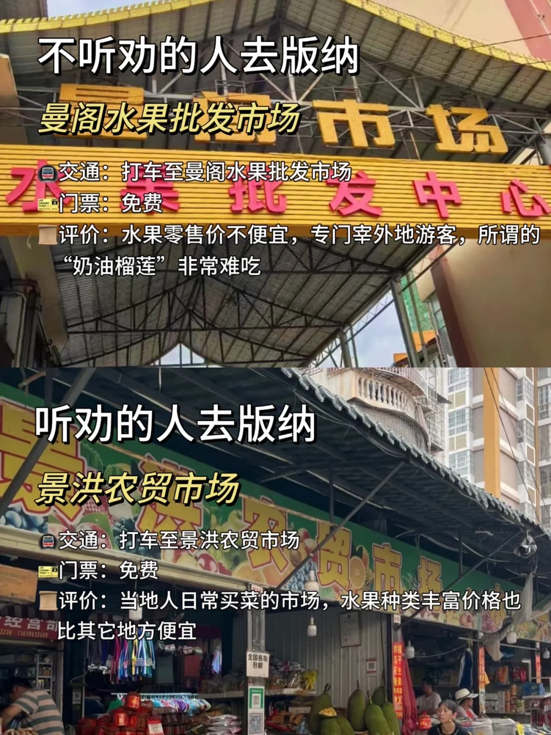 旅游旺季去版纳‼️热门景点不听劝vs听劝