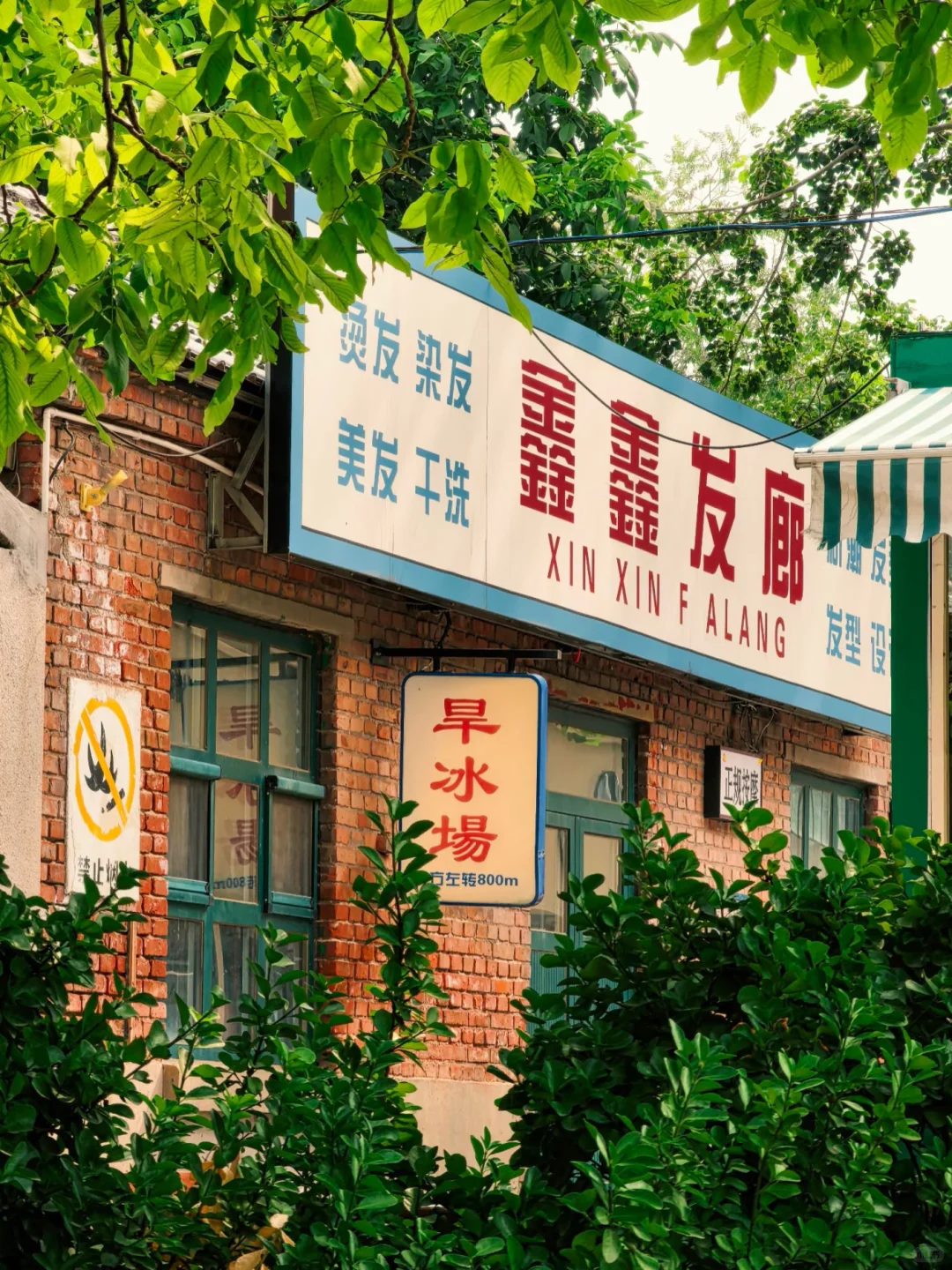 石家庄～这些地方太适合秋天！带娃放风～