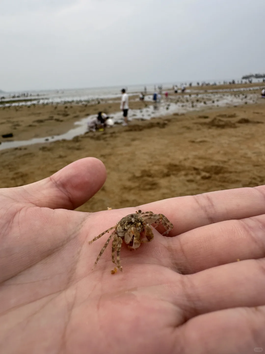 亲子旅行 | 威海超详细遛娃攻略🌊🦀️🏖️