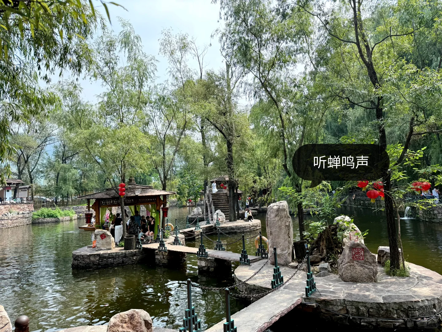 误入绿野仙踪🧚🏻