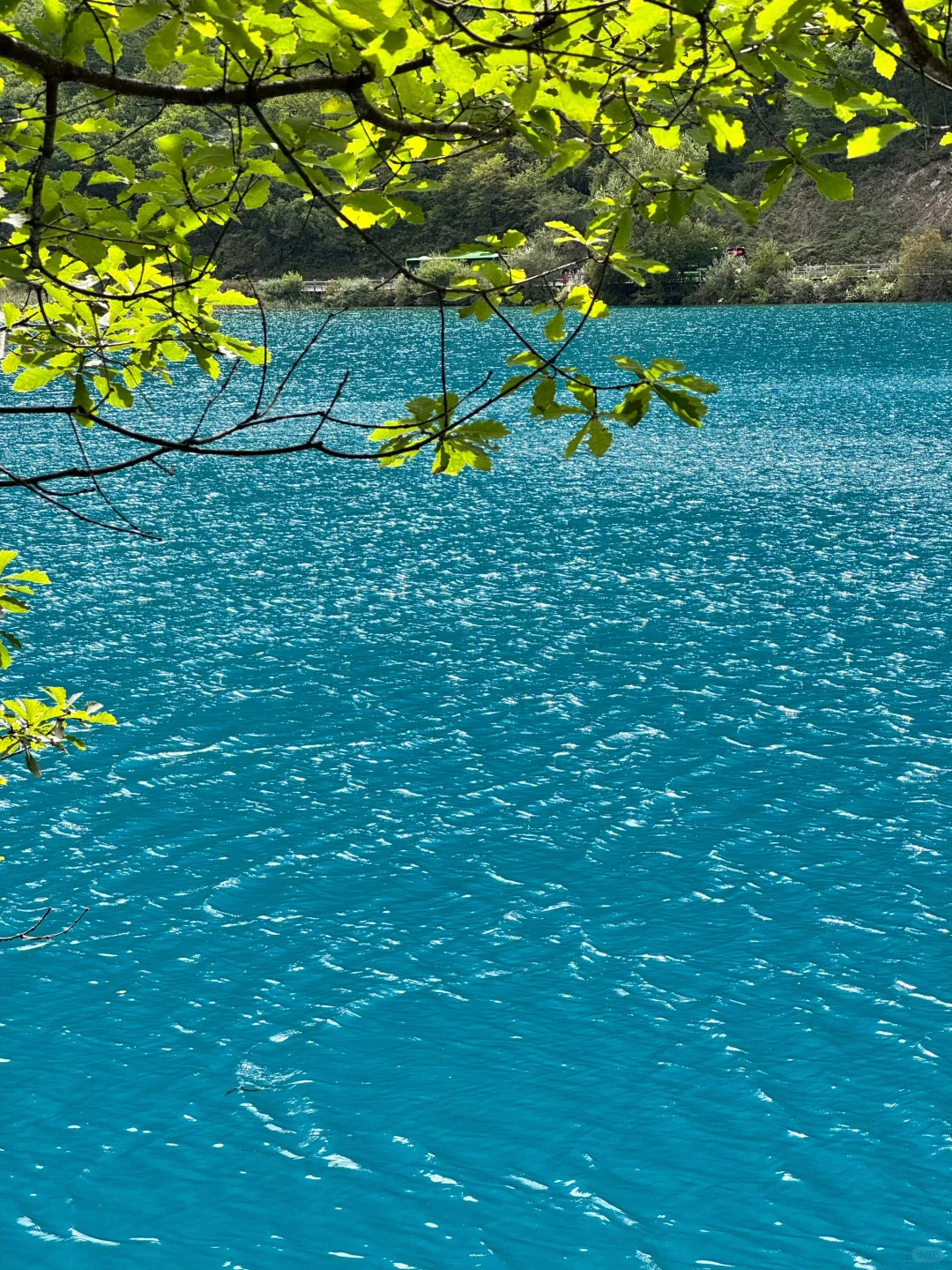 9.6📍九寨沟已回，要去的姐妹们注意啦⚠️
